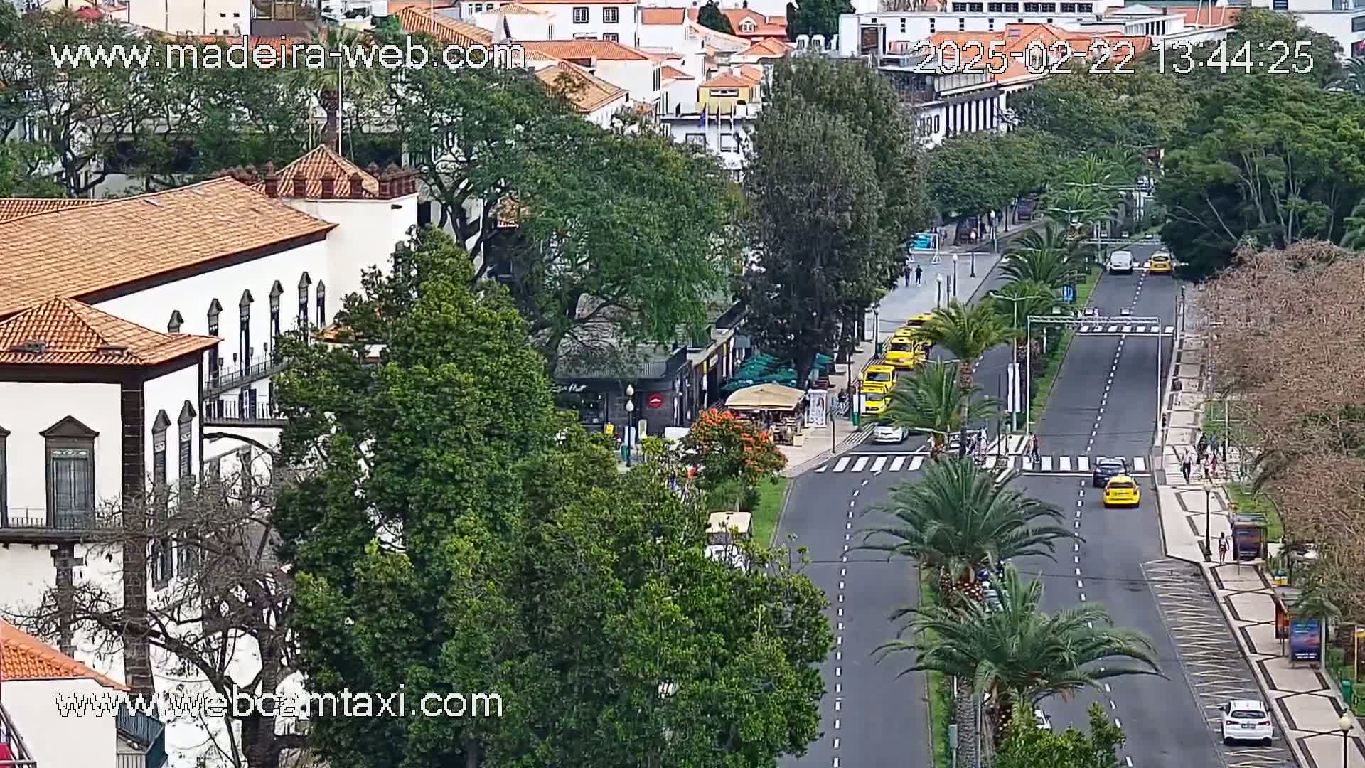 A high-angle view shows a city street with several yellow taxis and other vehicles, lined with palm trees and buildings, under partly cloudy skies.