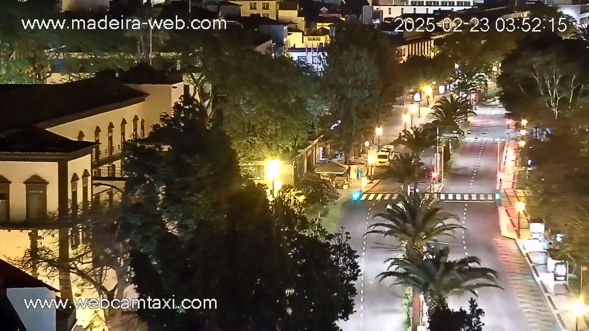 A nighttime, street-level view of a city street with palm trees lining a roadway and a large building illuminated on the left.