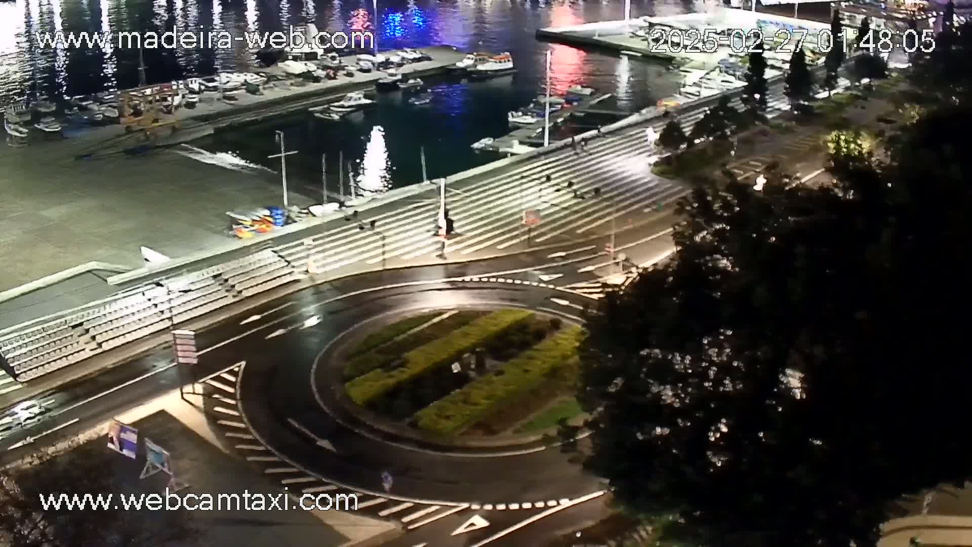 A wet, nighttime view of a harbor with boats, a roundabout, and a tree partially obscuring the view.