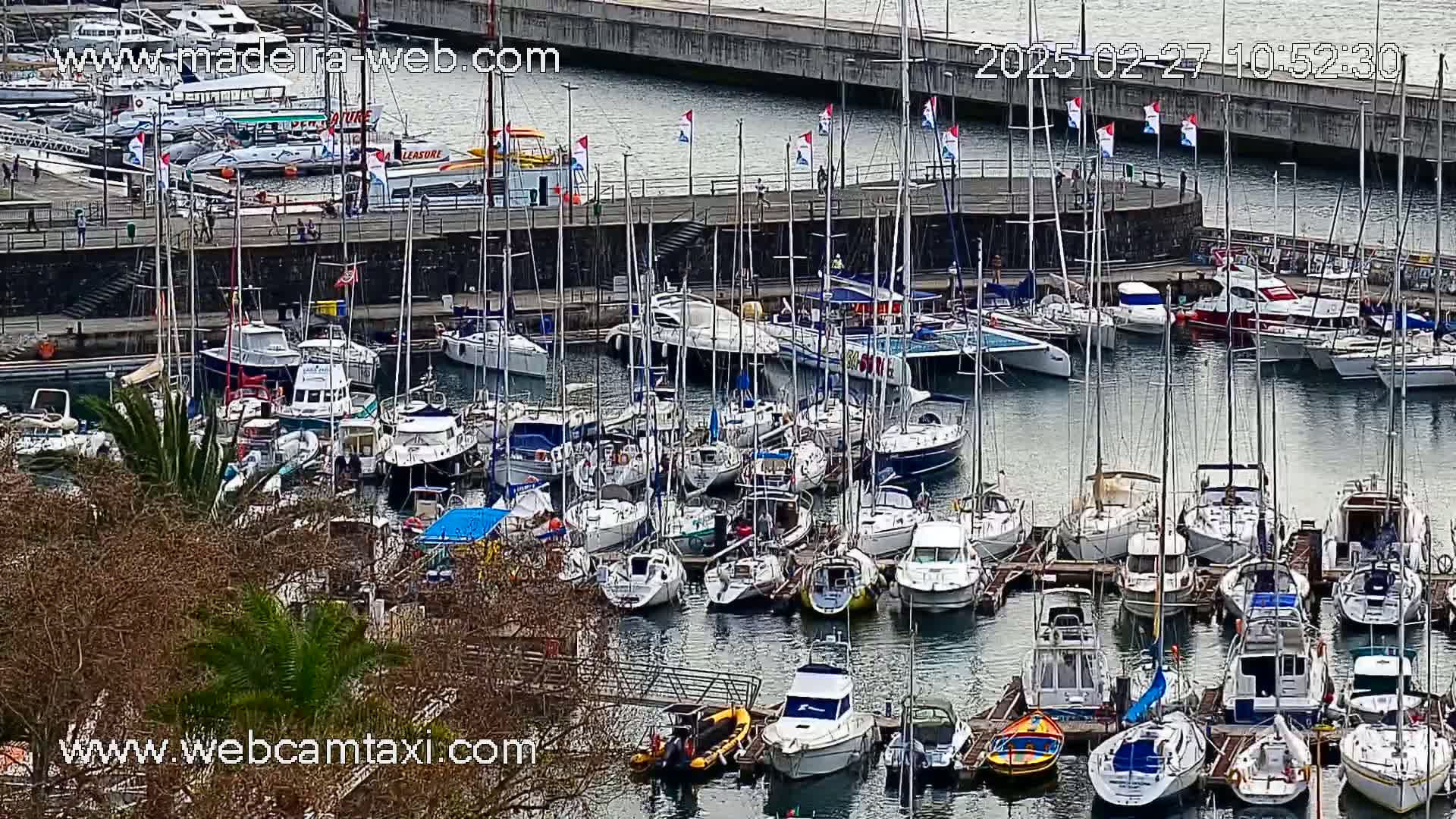 A harbor filled with numerous sailboats and motorboats on a cloudy day.