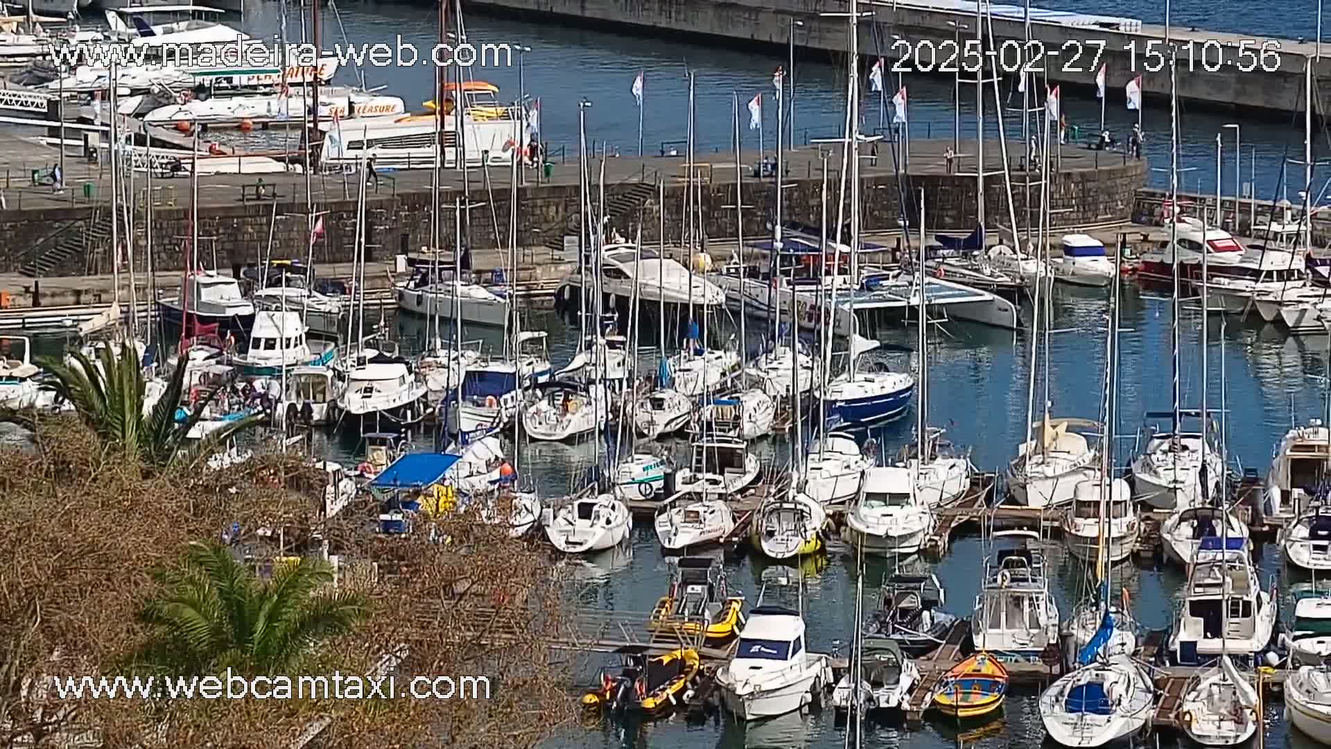 A marina filled with numerous sailboats and motorboats on a sunny day.