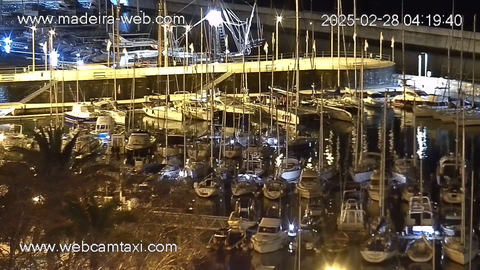 A nighttime view of a marina filled with numerous boats and yachts, under a clear sky.