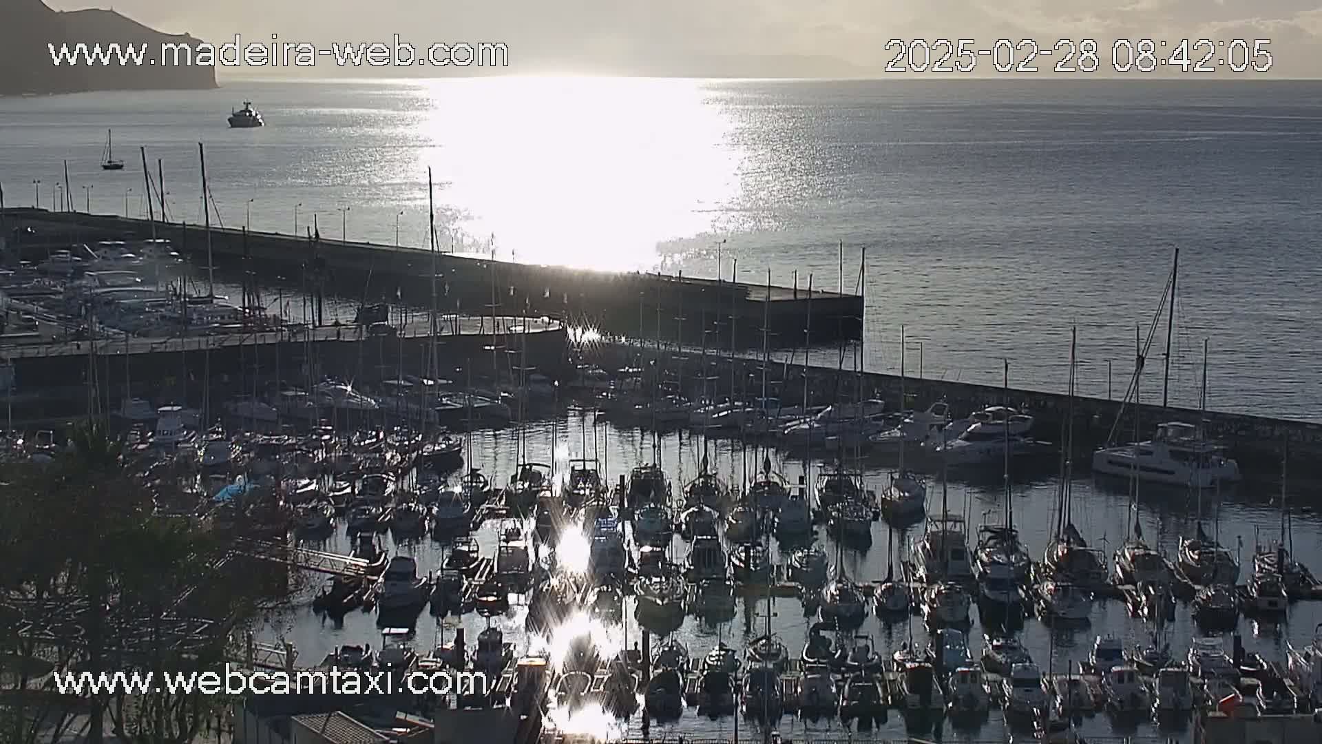 A marina filled with numerous boats is situated near a calm, sunlit ocean, with a hill visible in the background.