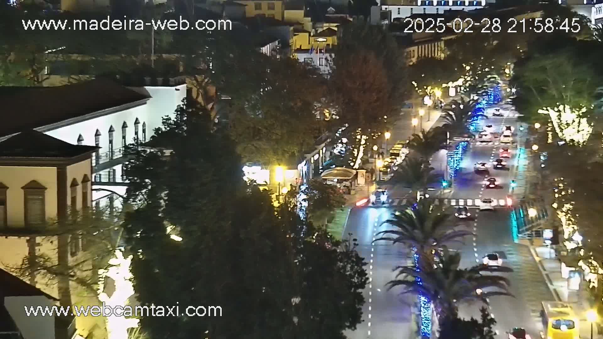 A nighttime, high-angle view of a city street with cars driving along it, lined with palm trees and illuminated by streetlights and decorative lights.