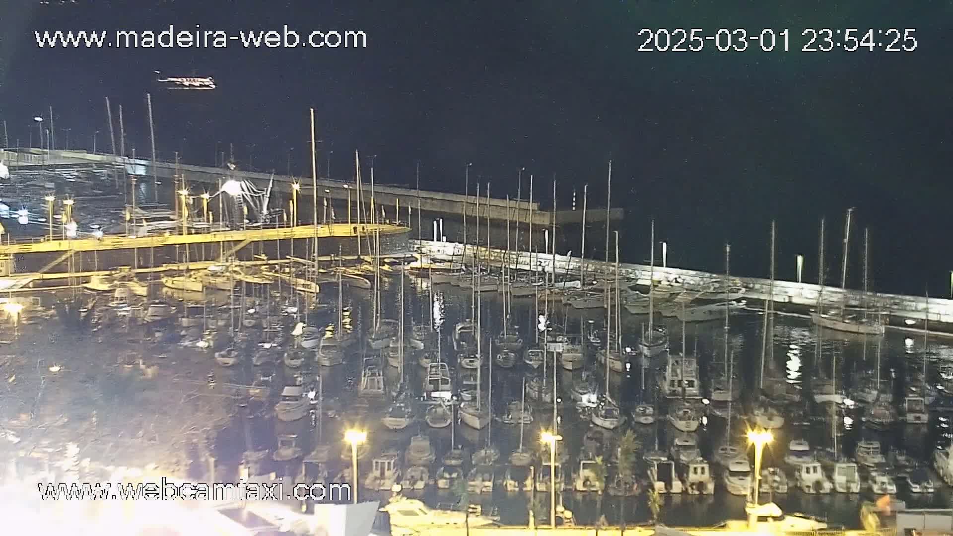 A marina filled with numerous boats is illuminated at night under a dark sky.