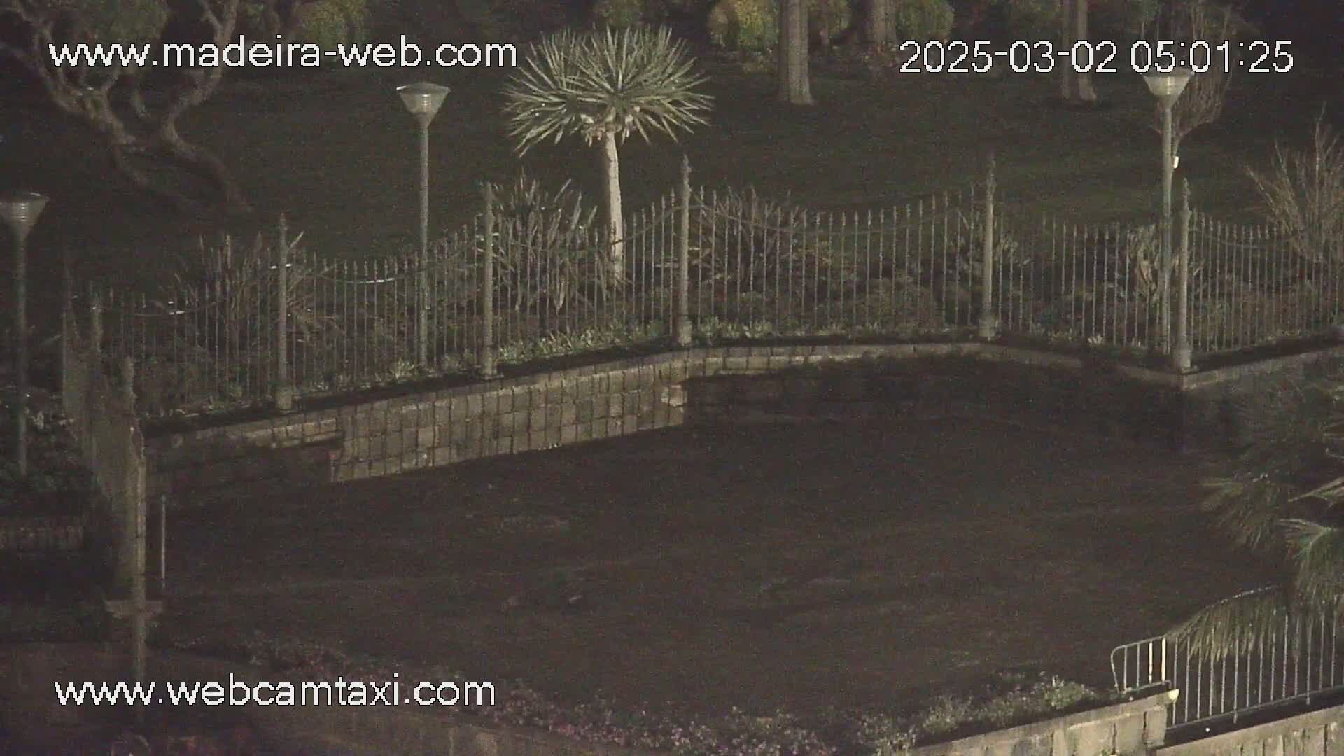 A nighttime view of a dark paved area enclosed by a wrought-iron fence, with lamps and a few plants visible.