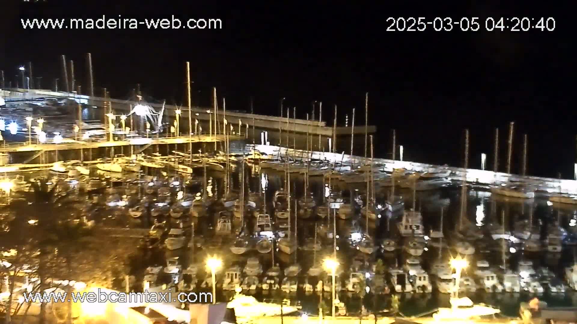 A nighttime, outdoor view of a marina filled with numerous boats docked under a dark sky.