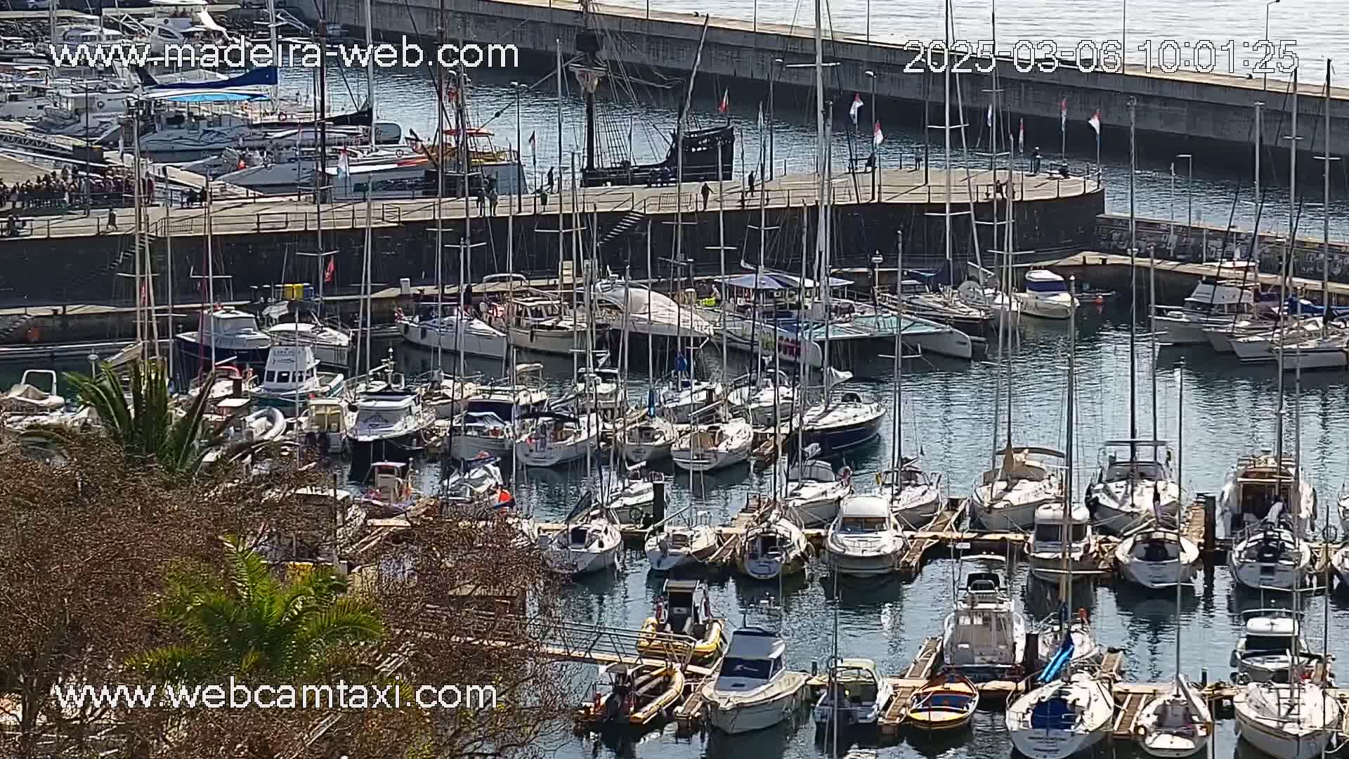 A sunny day shows a harbor filled with numerous sailboats and motorboats docked at various piers.