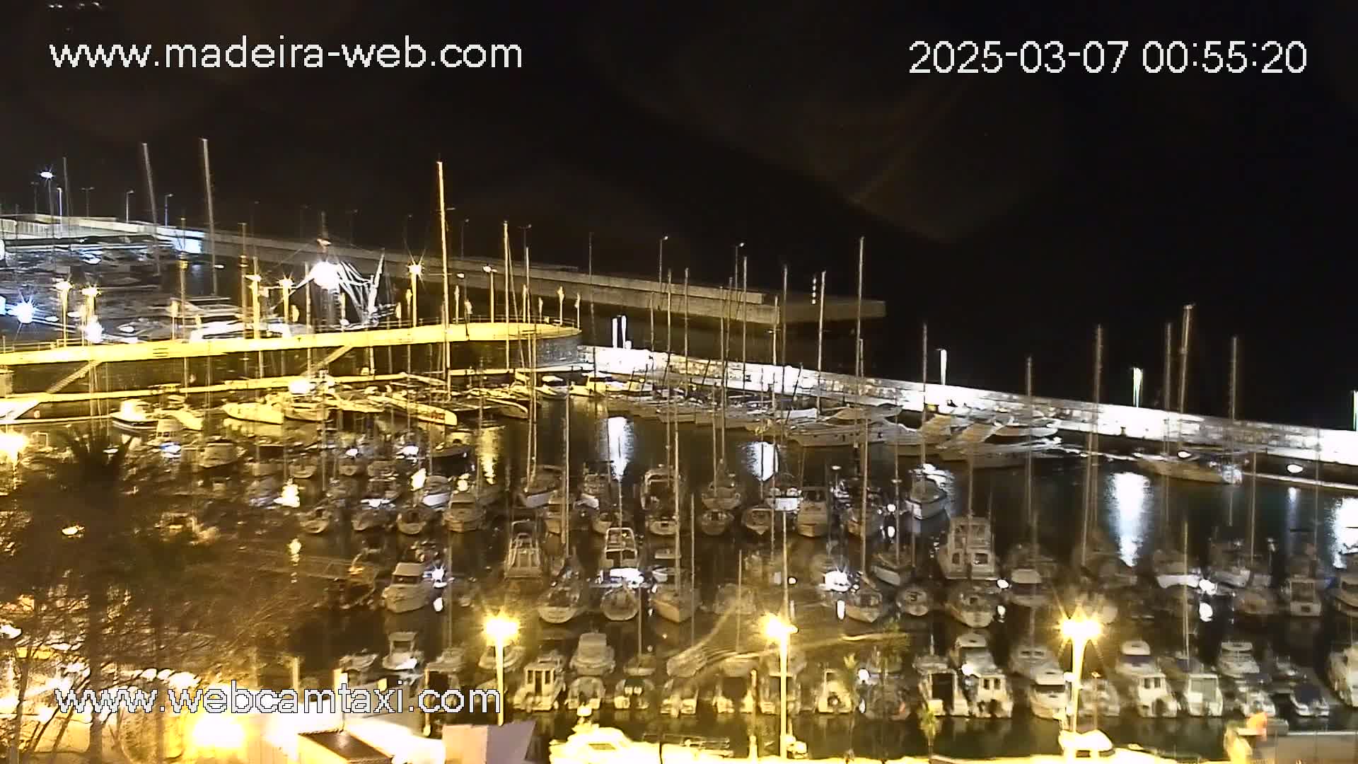 A marina filled with many boats is illuminated at night.