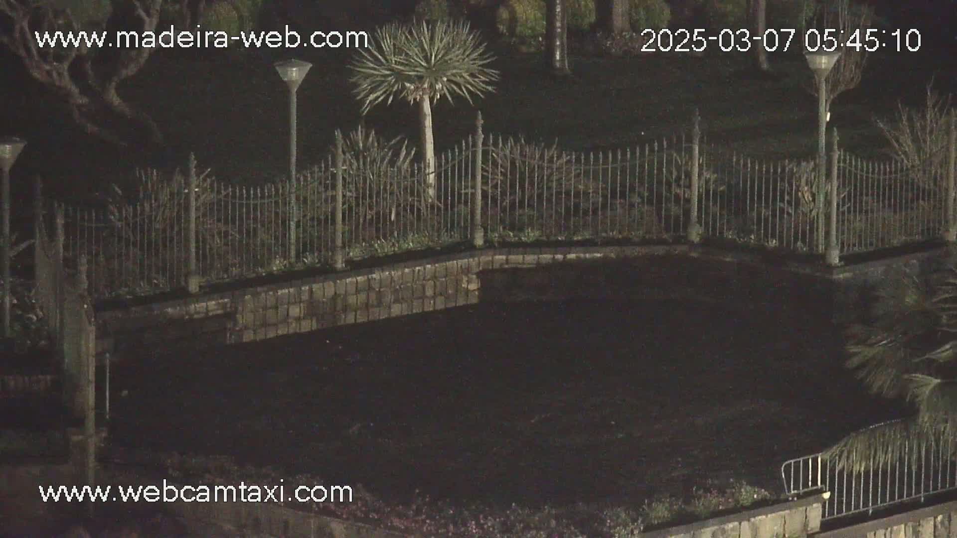 A dark, nighttime scene shows a low stone wall surrounding a dark area, beyond a metal fence with some shrubs and a few palm trees visible.