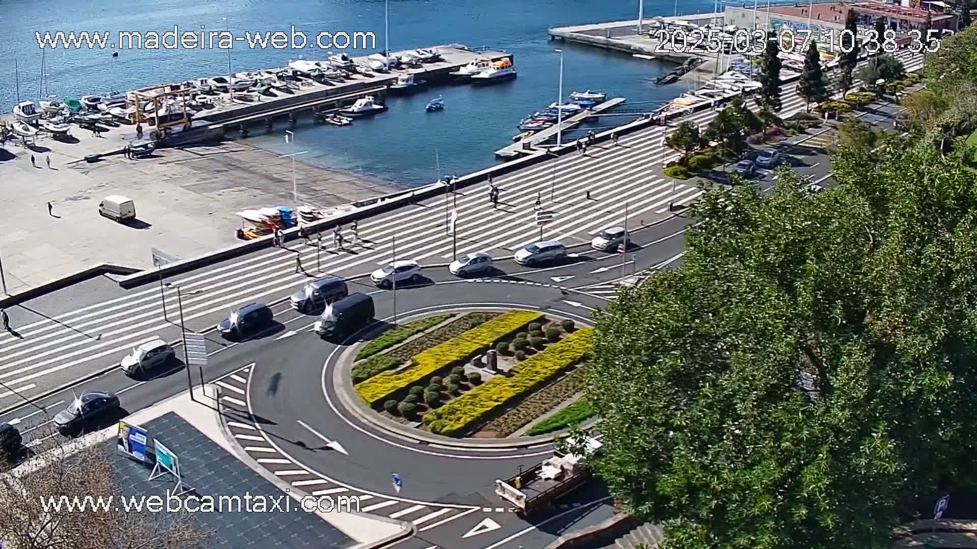 An aerial view shows a harbor with numerous boats, a paved pedestrian area with crosswalks, several cars navigating a roundabout with a landscaped center, and lush green trees on a sunny day.