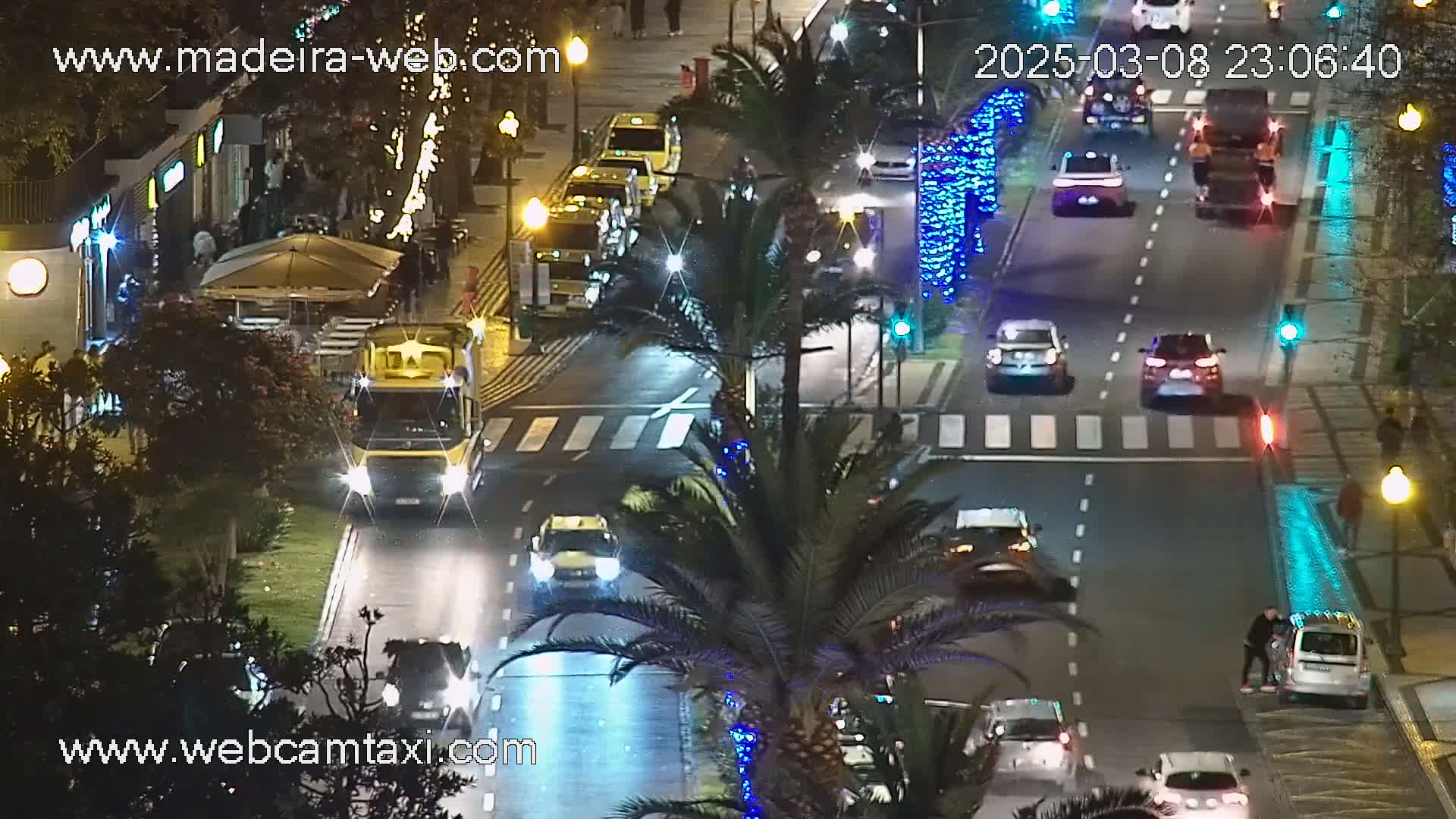 A nighttime street scene shows several cars moving along a roadway lined with palm trees and festive lights, under clear skies.