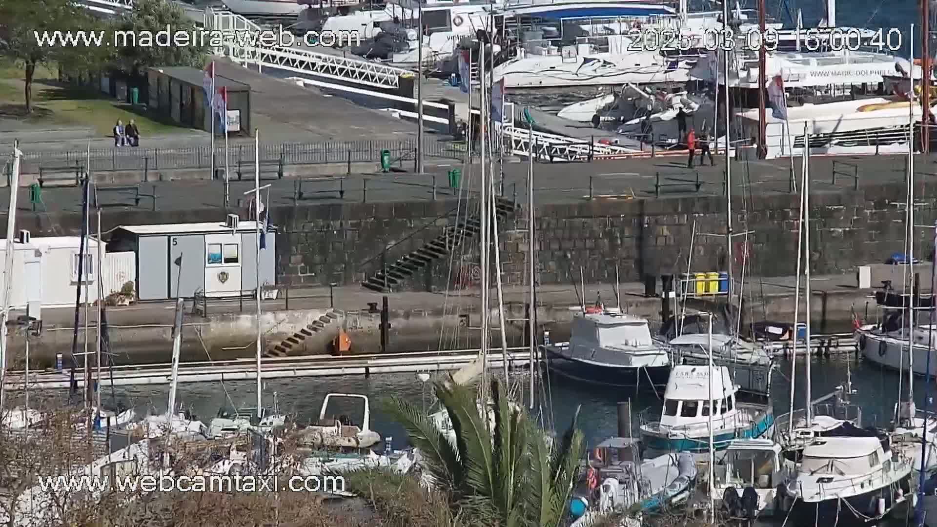 A sunny harbor scene with numerous boats docked, some in the water and others at the pier.