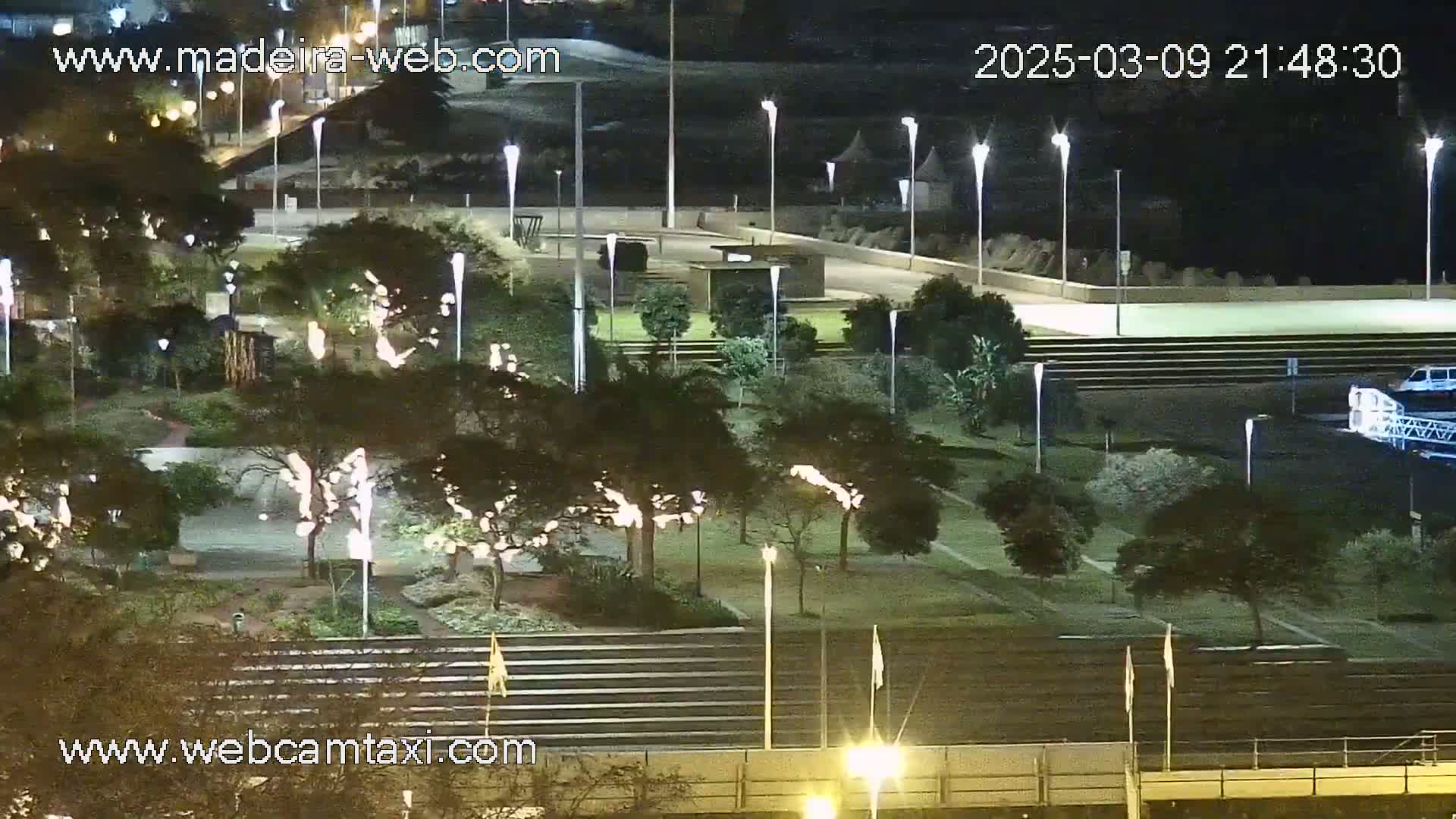 A nighttime view of a park with numerous lights illuminating trees and pathways, next to a paved area with a vehicle visible in the distance.