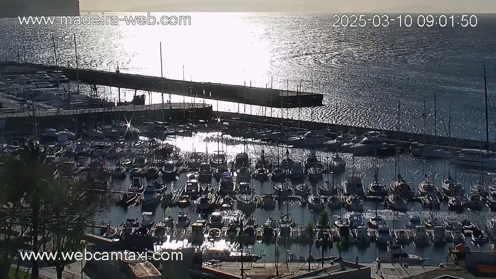 A marina filled with many boats is seen from above on a sunny day with calm water reflecting sunlight.
