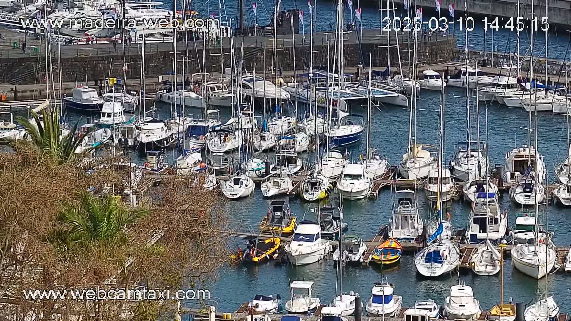 A marina filled with numerous sailboats and motorboats on a sunny day.
