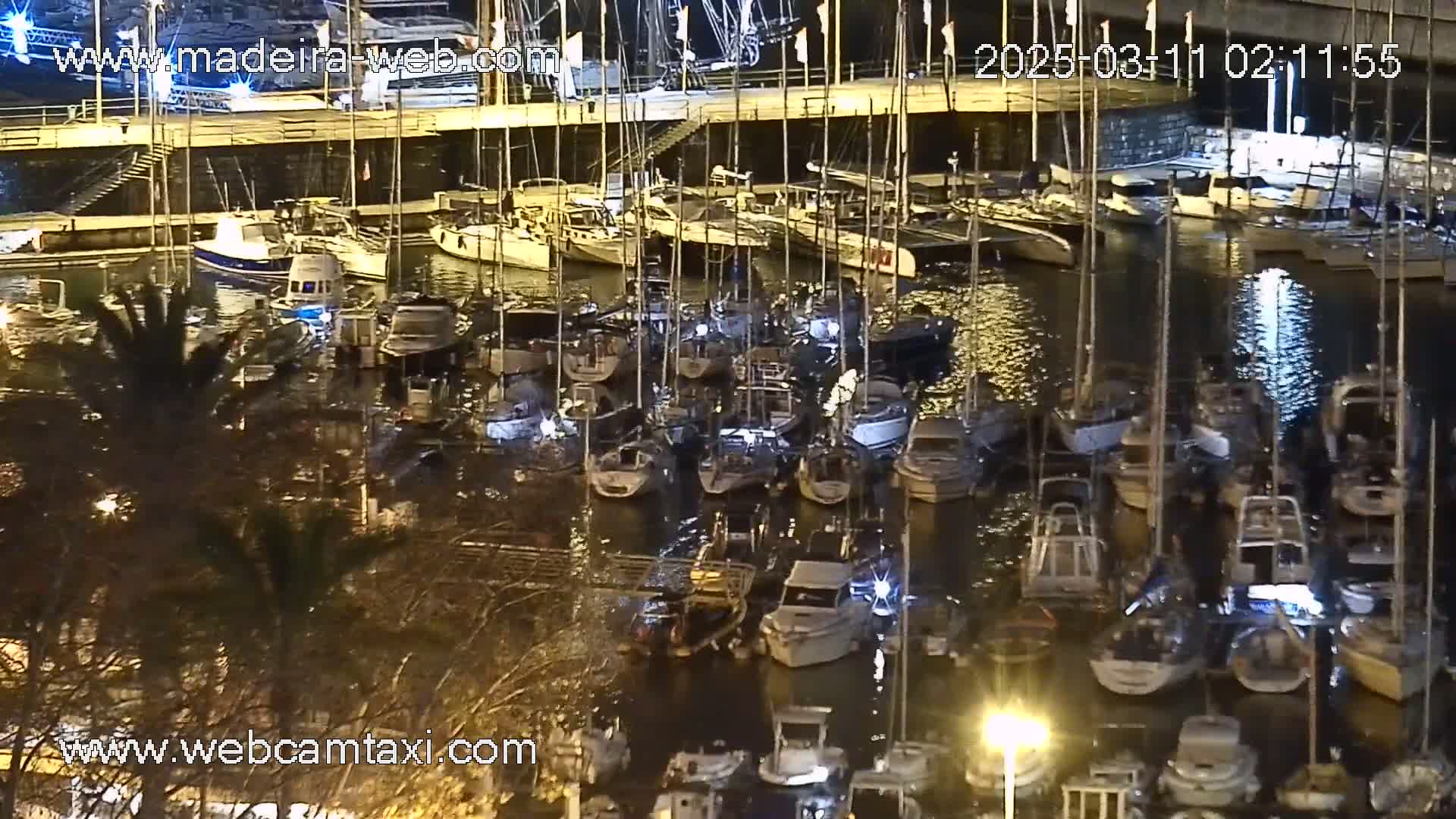 Many boats are docked at a marina at night, under calm waters.