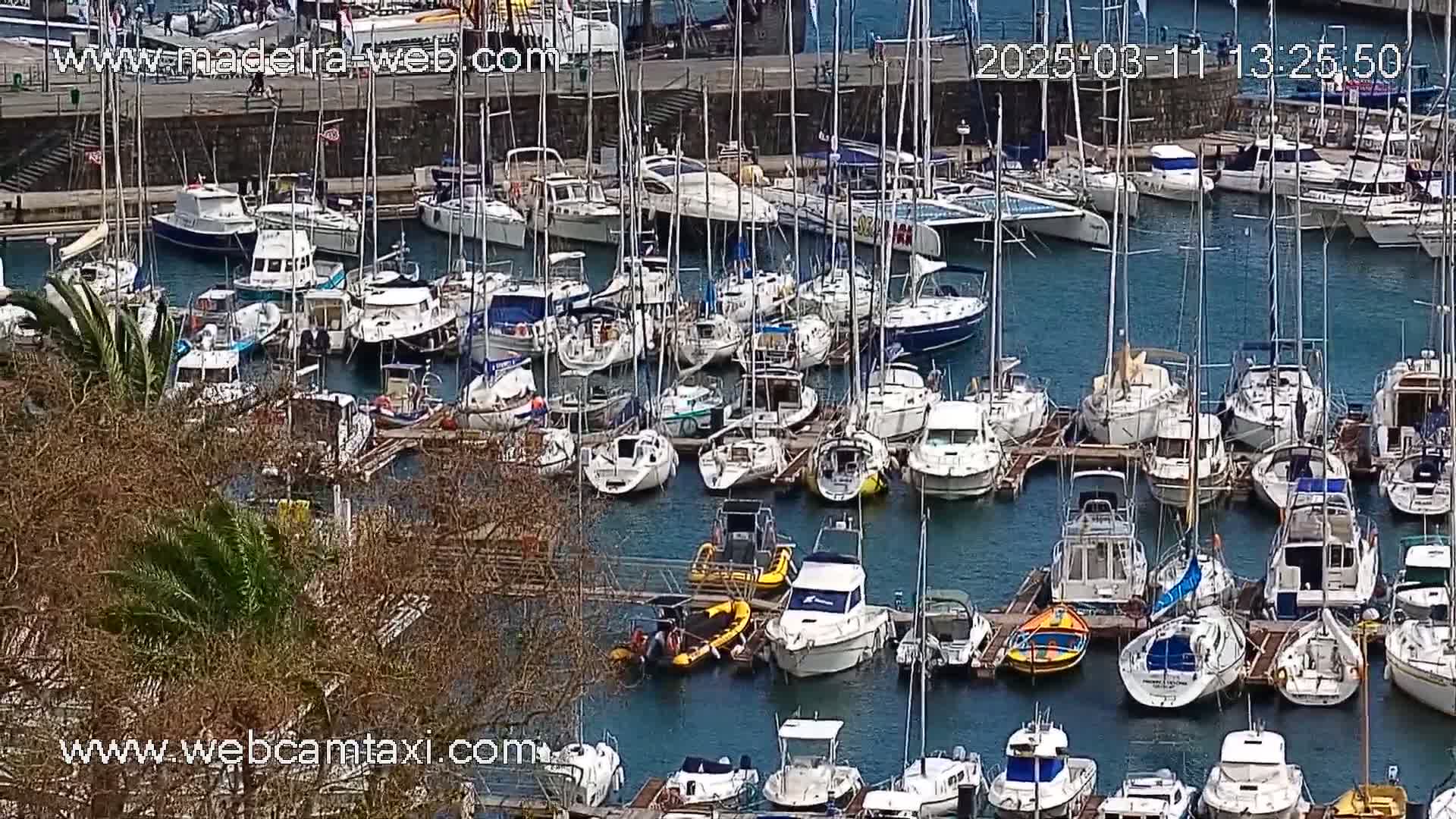 A harbor filled with numerous sailboats and motorboats on a calm, sunny day.
