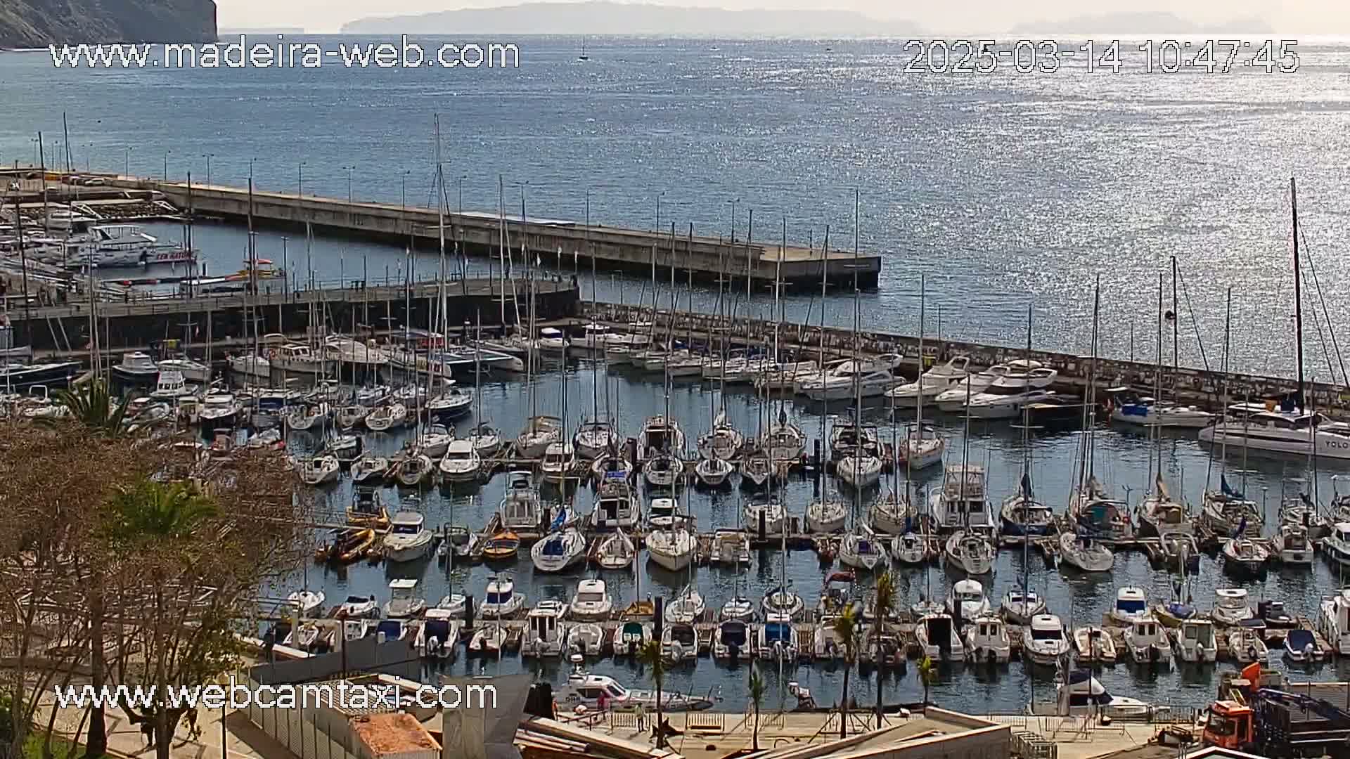 A marina filled with numerous sailboats and motorboats is situated on calm, sunlit water next to a rocky shoreline.