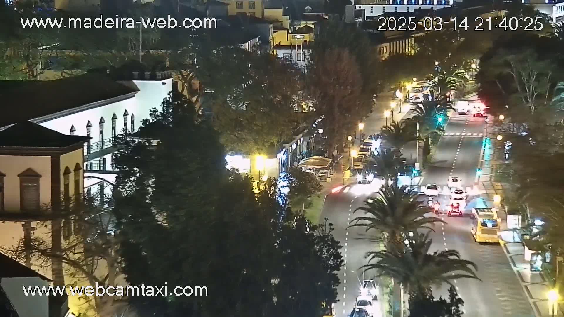 A nighttime, high-angle view of a city street with cars and a bus driving along a palm tree-lined road, with buildings and trees visible on either side.