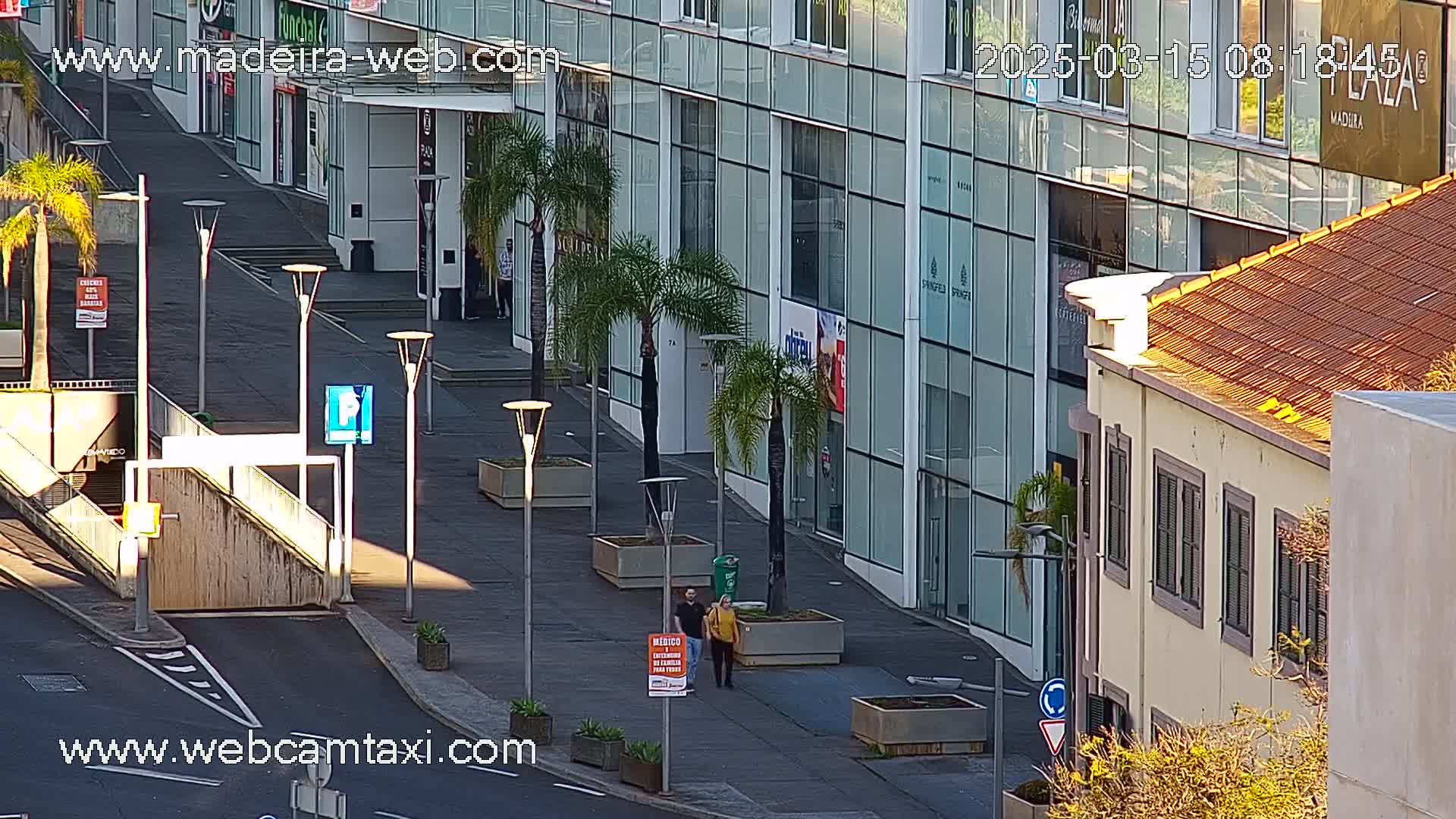 A sunny outdoor scene shows a paved walkway between modern glass buildings and a tan building, with two people walking and several palm trees in planters.