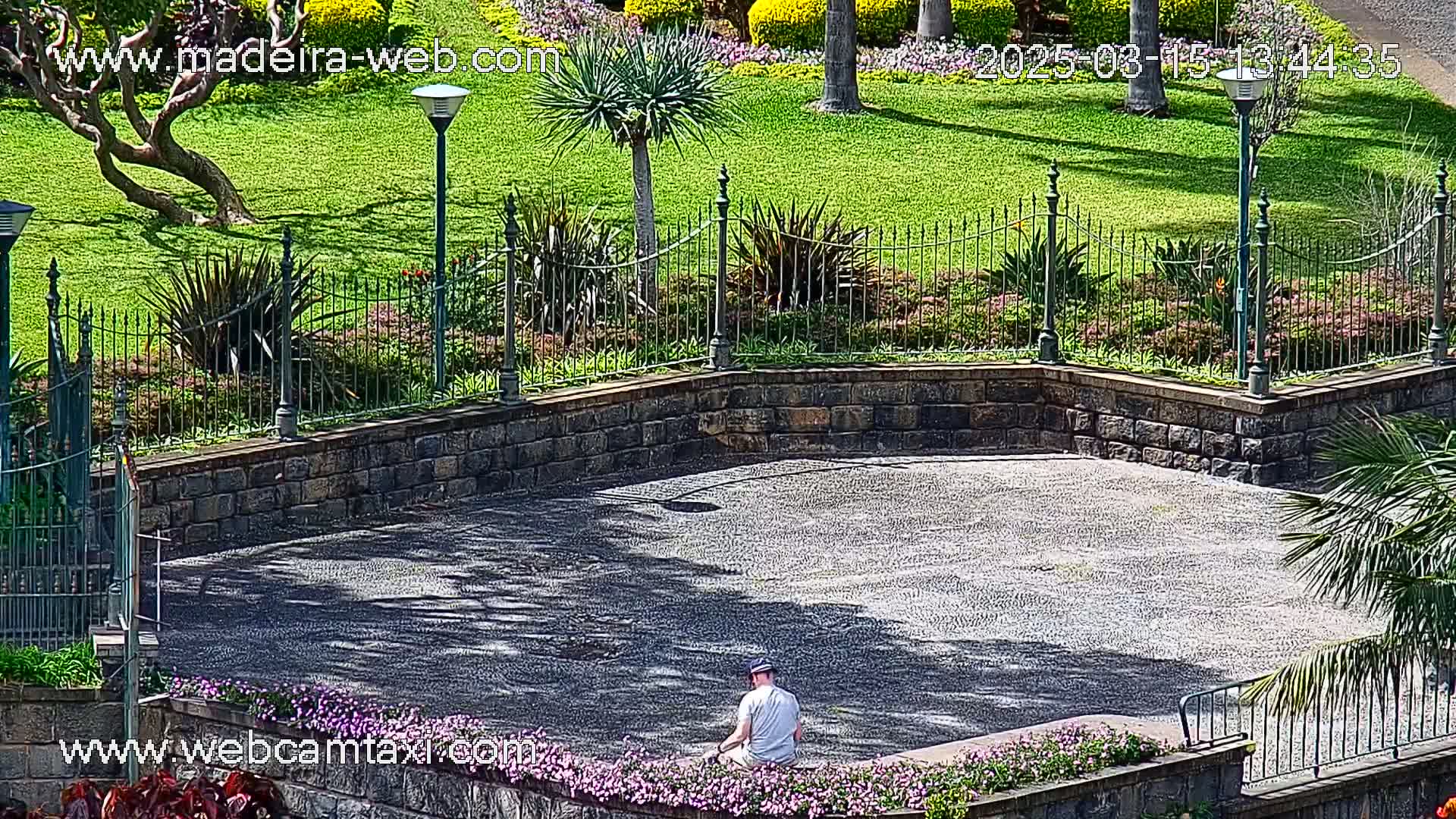 A man sits on a paved area surrounded by a stone wall, flowering plants, and manicured lawns in sunny weather.