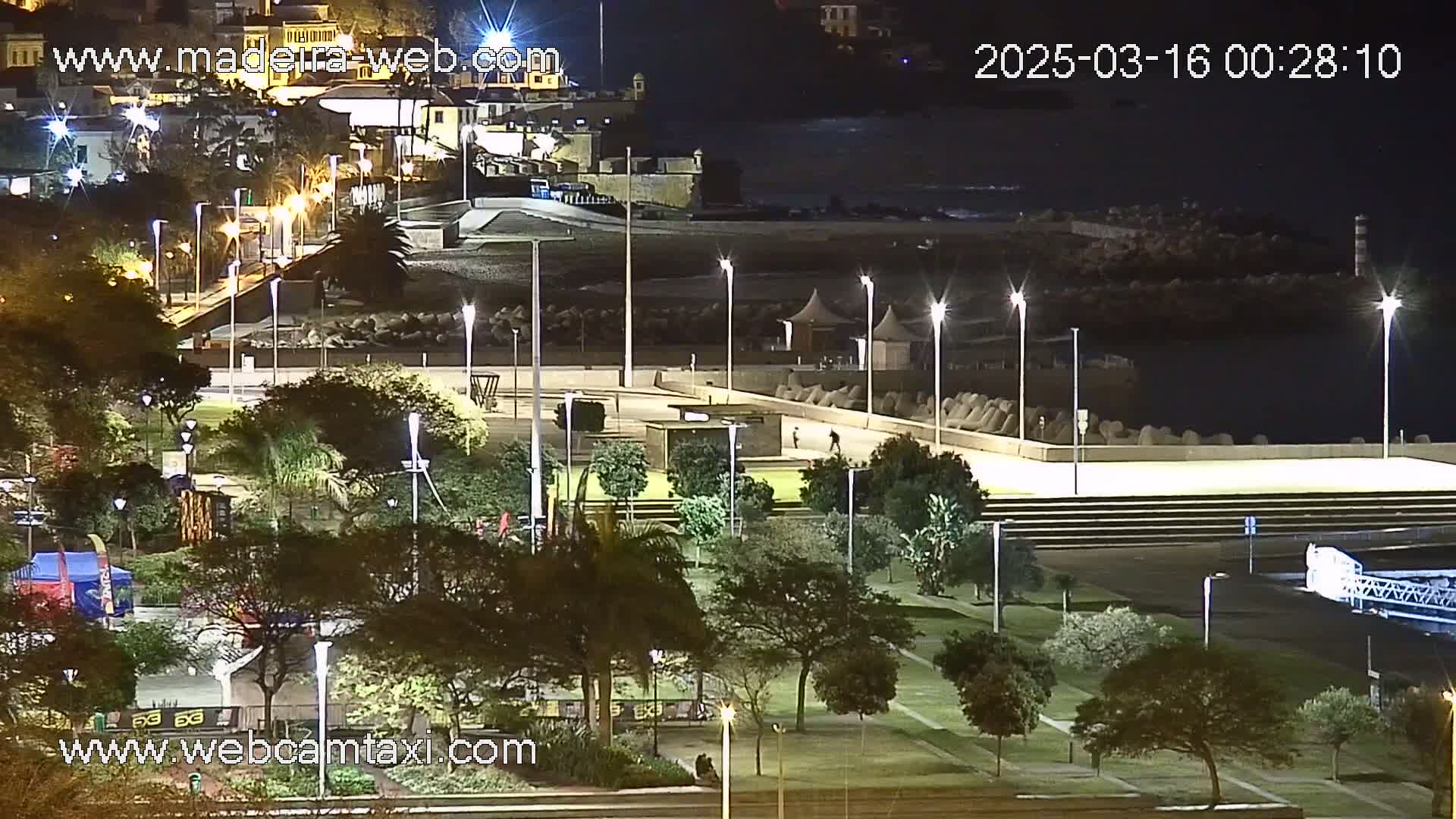 A nighttime view of a coastal park with well-lit pathways, trees, and a seawall, overlooking a dark body of water.