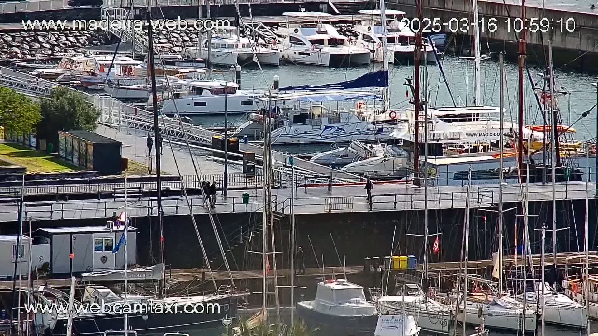 A marina filled with numerous sailboats and motorboats on a sunny day.