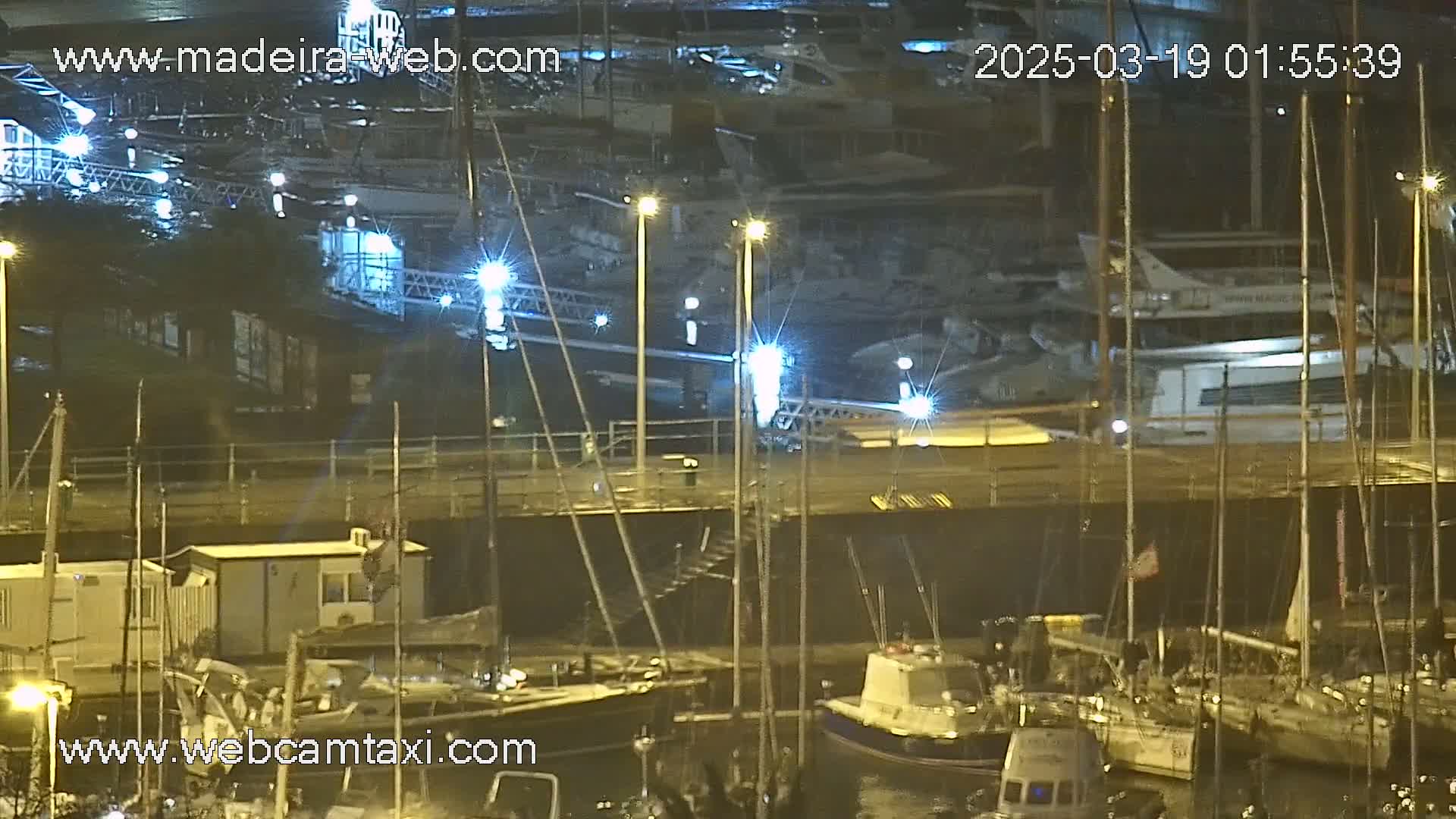 A nighttime view of a marina with many boats docked, illuminated by lights, under wet conditions.