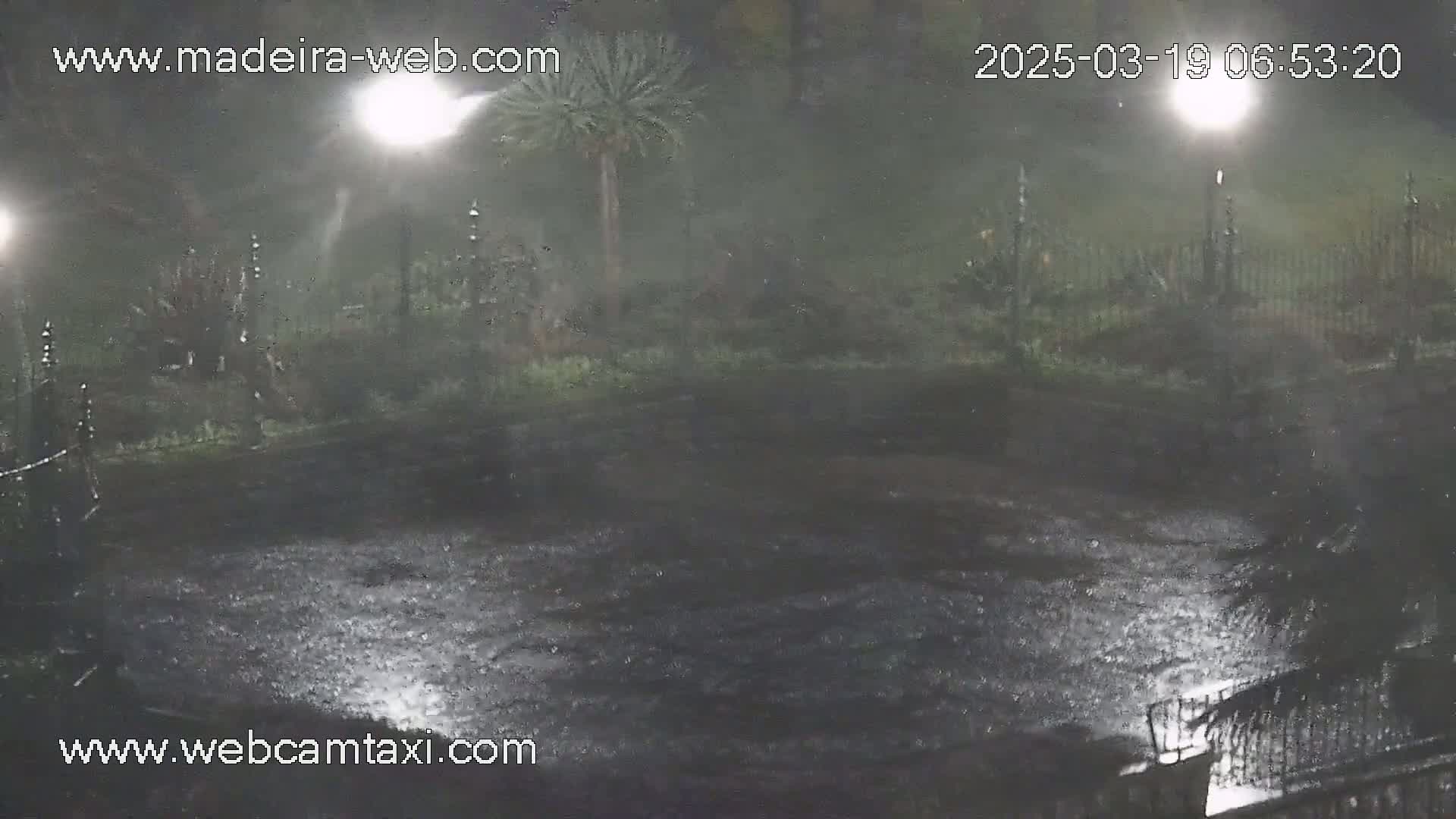 A nighttime scene of heavy rain falling on a dark, paved area, illuminated by bright lights, with some vegetation visible in the background.