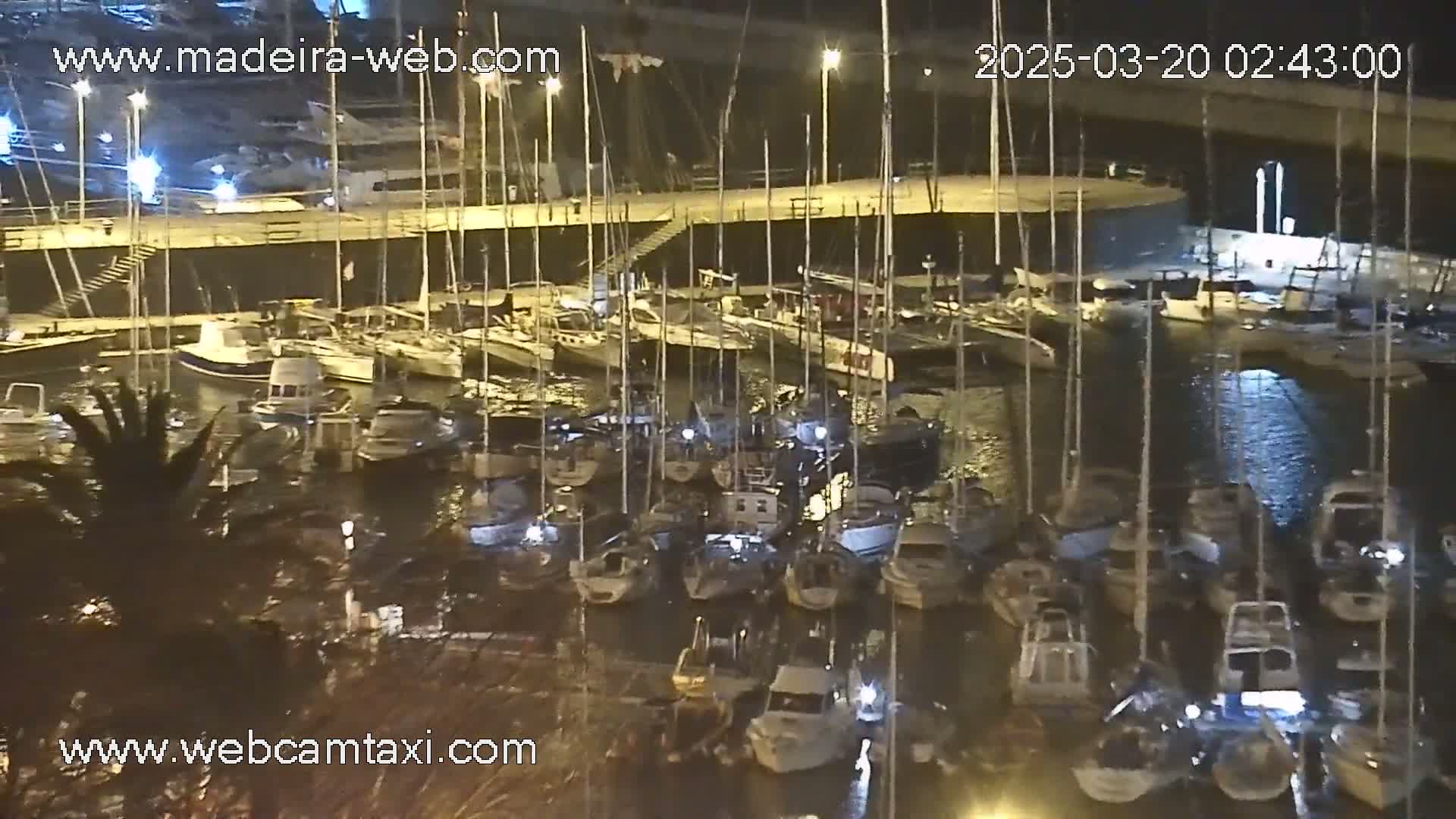 A nighttime view of a marina filled with numerous sailboats and motorboats docked under calm water.