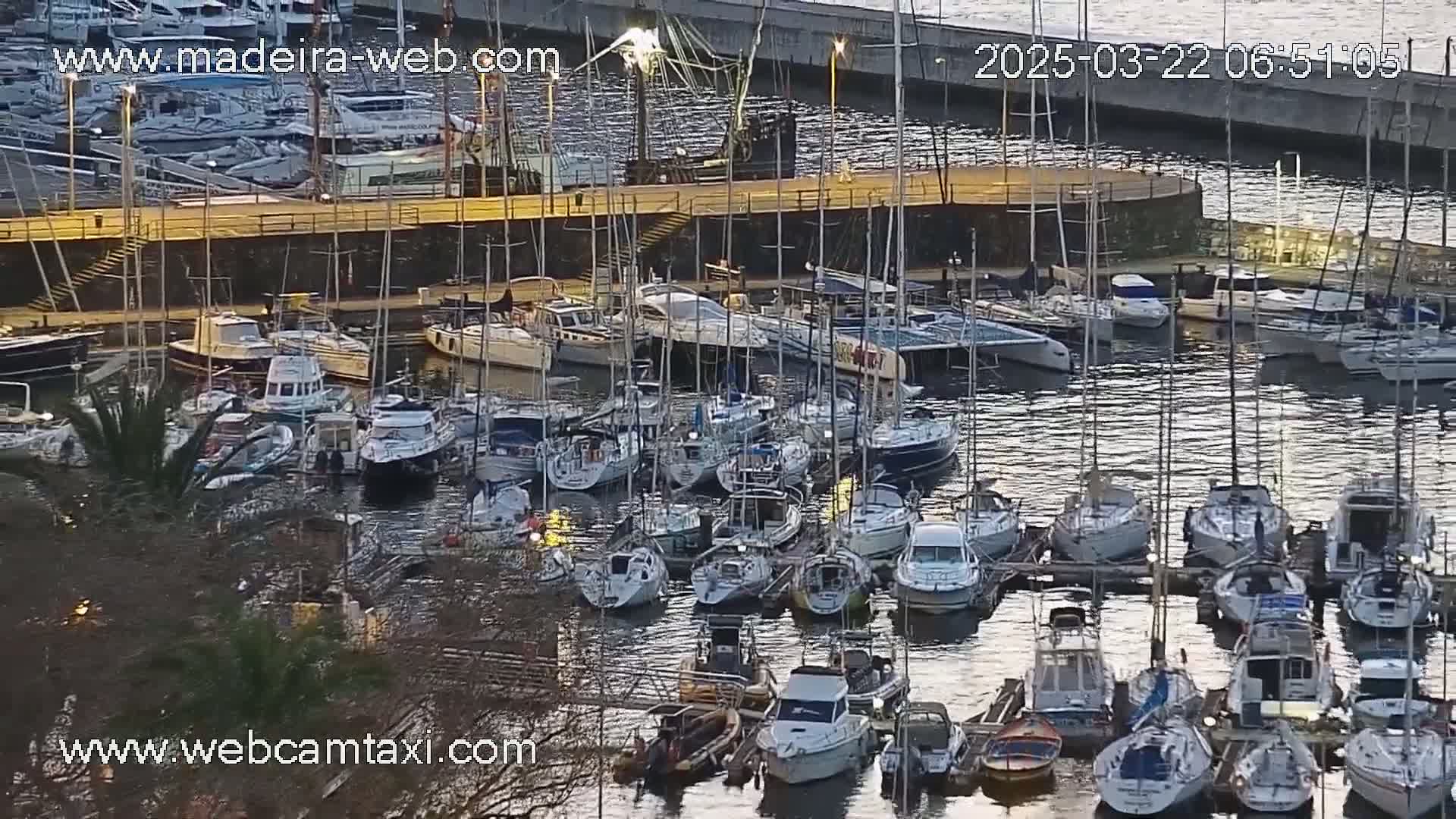 A marina filled with numerous sailboats and motorboats is seen from an elevated viewpoint under a calm, twilight sky.