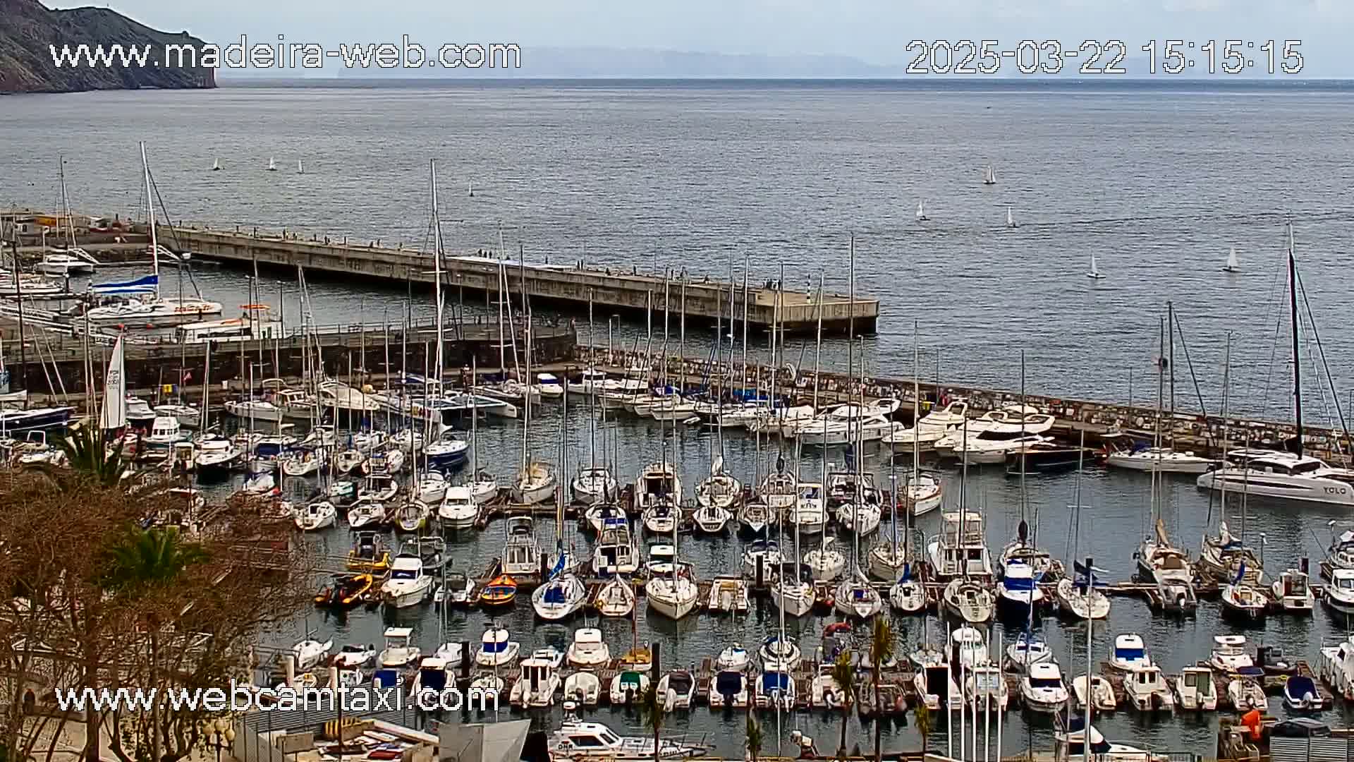 A harbor filled with numerous sailboats and motorboats is seen on an overcast day, with calm water and a few sailboats visible in the distance.
