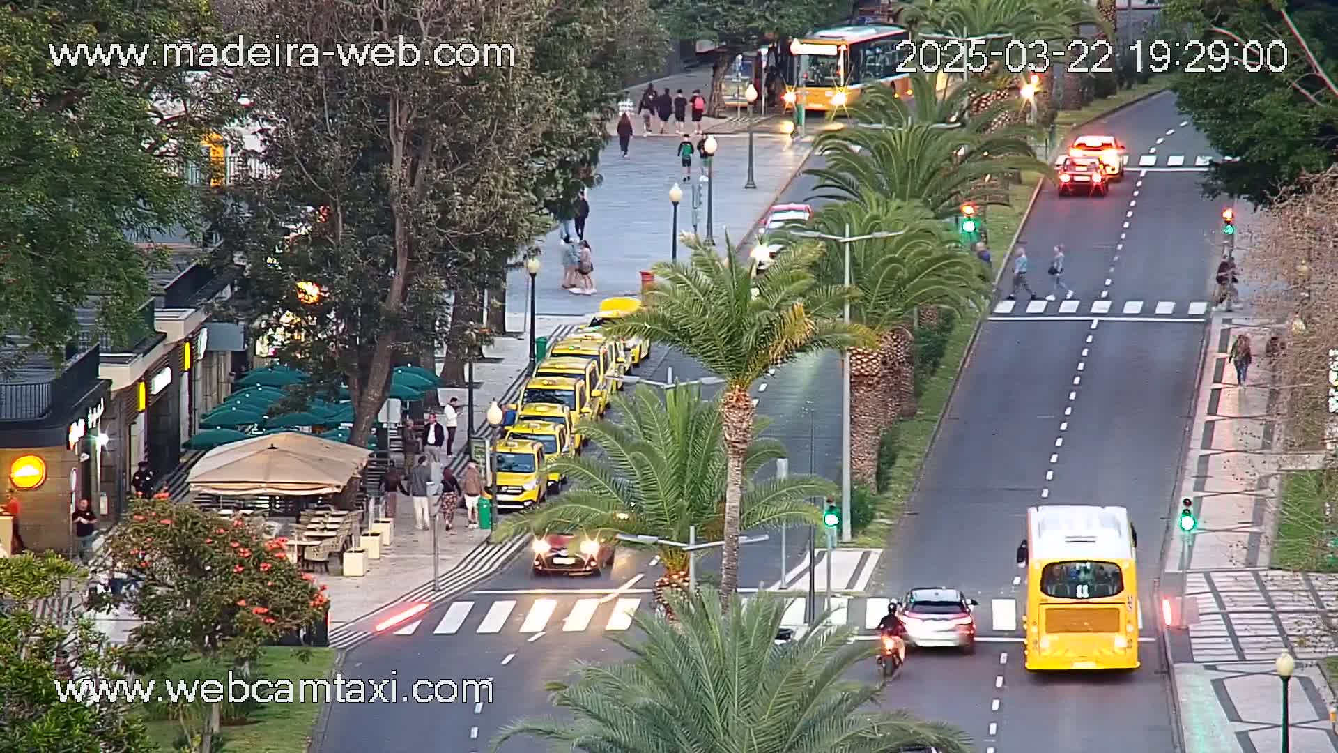 A street scene at dusk shows a line of yellow taxis parked along the curb, several cars and buses moving along a road lined with palm trees, and pedestrians crossing a crosswalk.