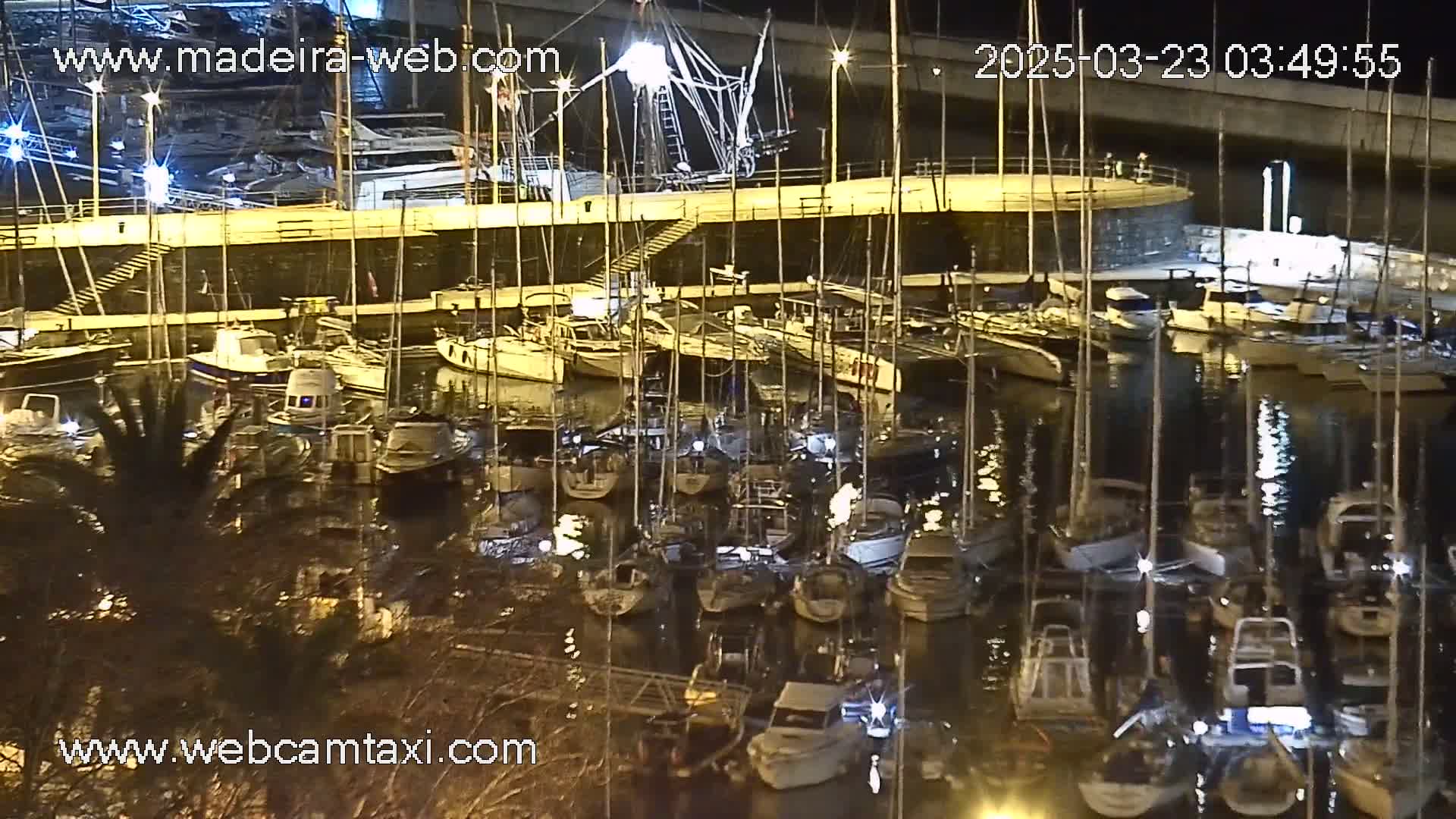 A nighttime view of a marina filled with numerous boats and yachts, docked alongside a concrete wall.