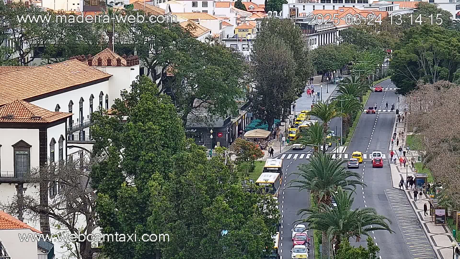 A street scene shows a roadway with various vehicles, pedestrians, and palm trees, alongside buildings, under a partly sunny sky.