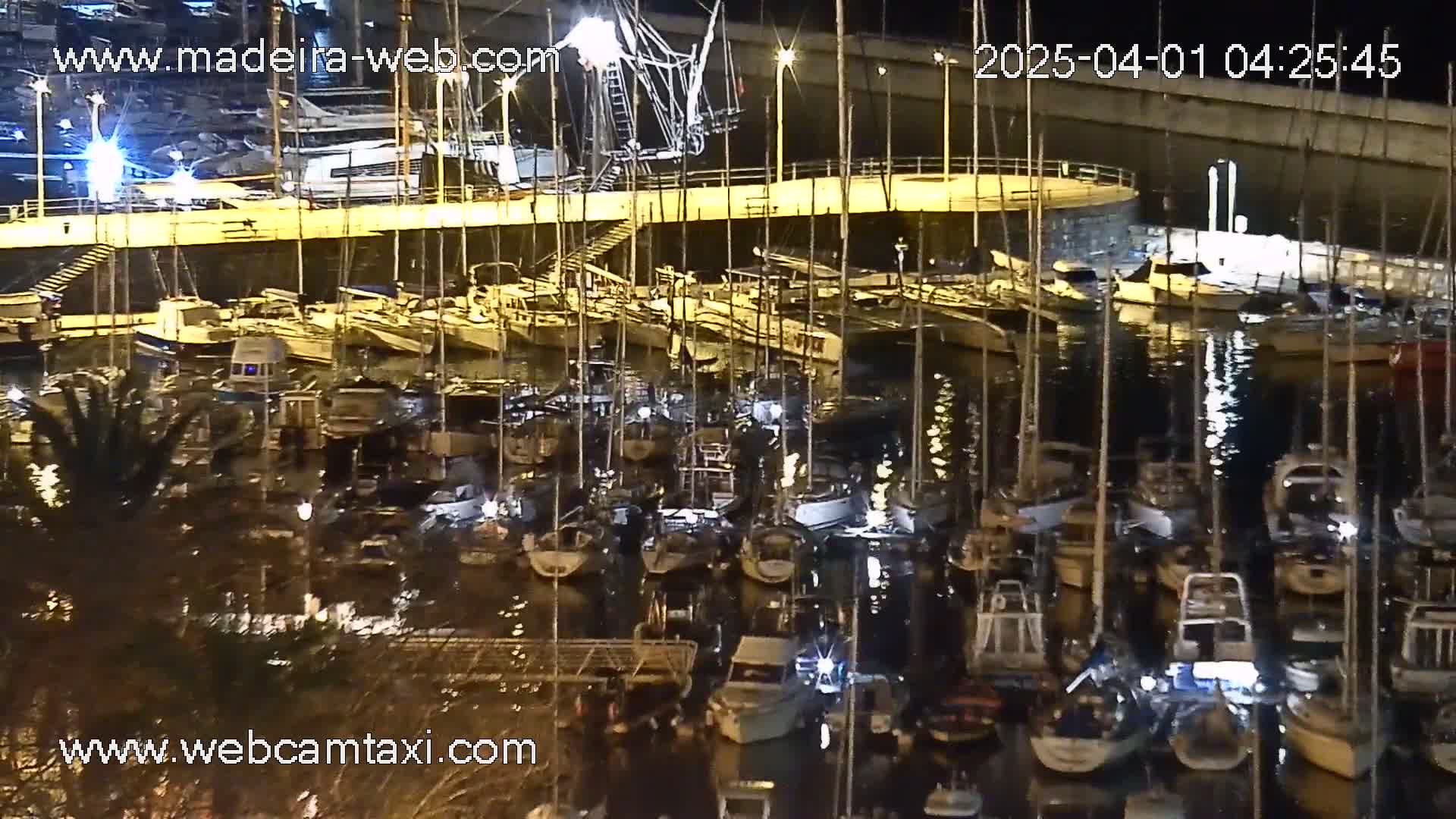A nighttime view of a marina filled with numerous boats and yachts, reflecting light on calm water.