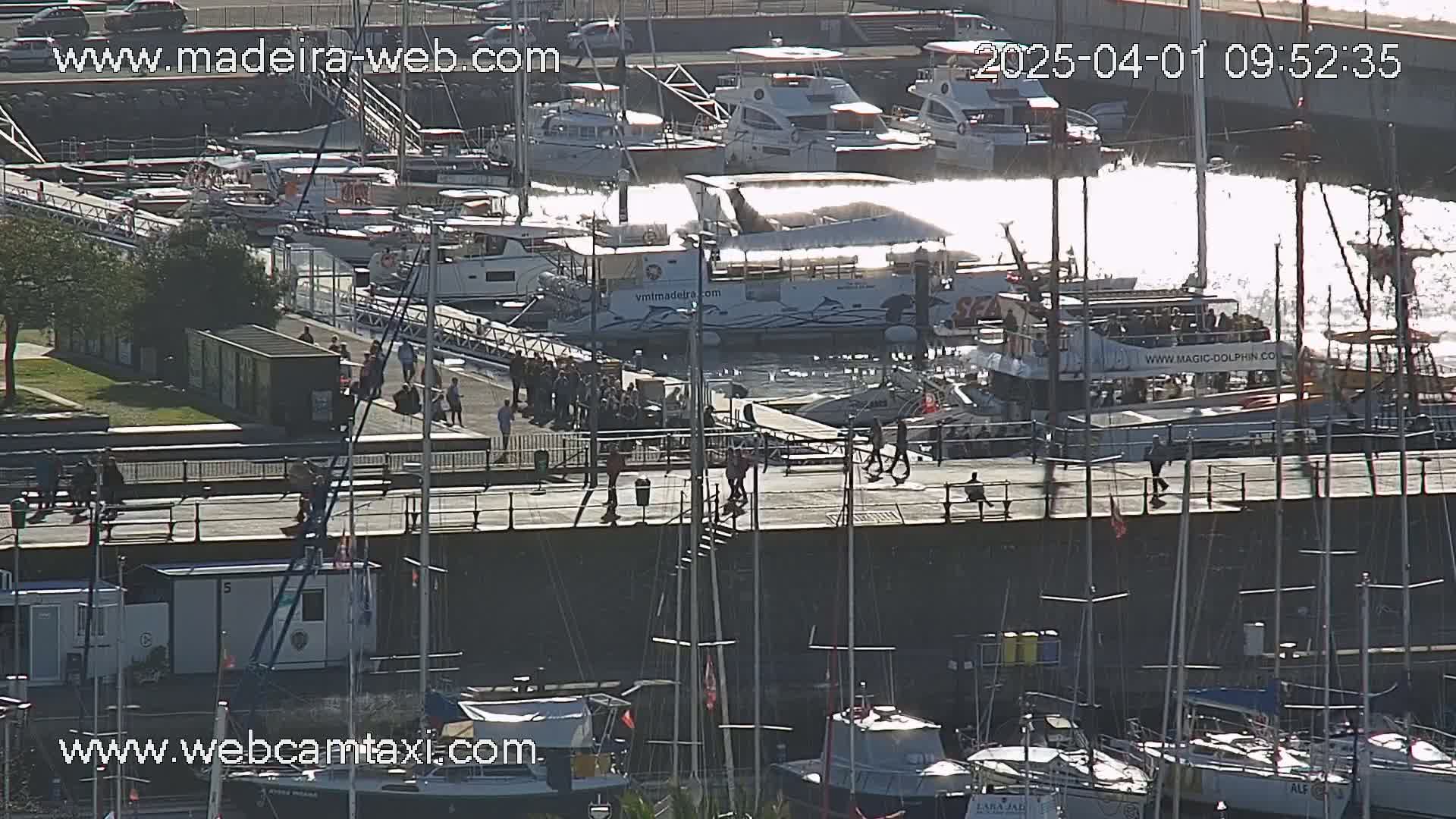A harbor filled with boats and people on a sunny day with sparkling water.