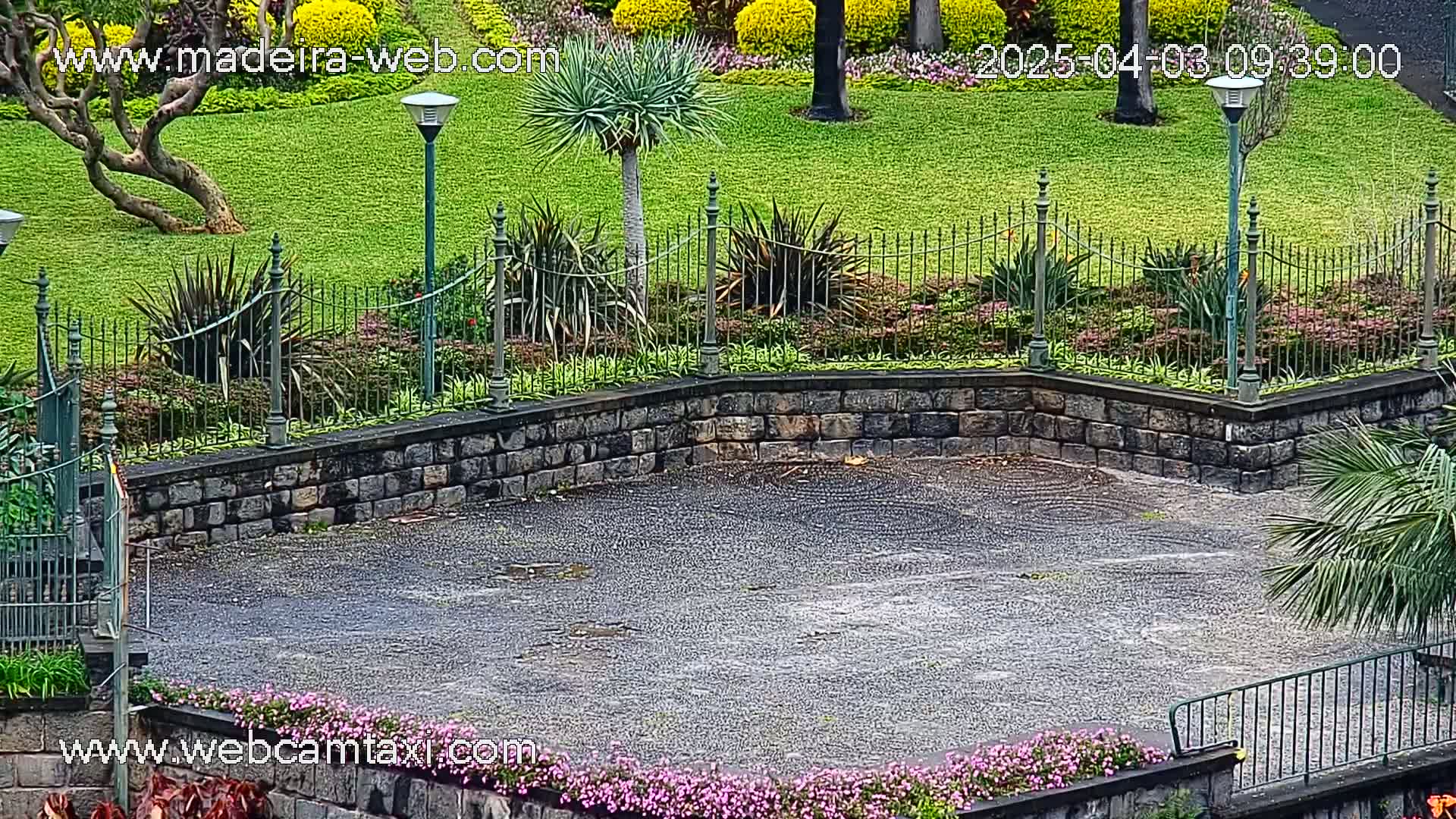 A wet, paved area is surrounded by a stone wall and lush greenery, including flowering plants and trees, under a cloudy sky.