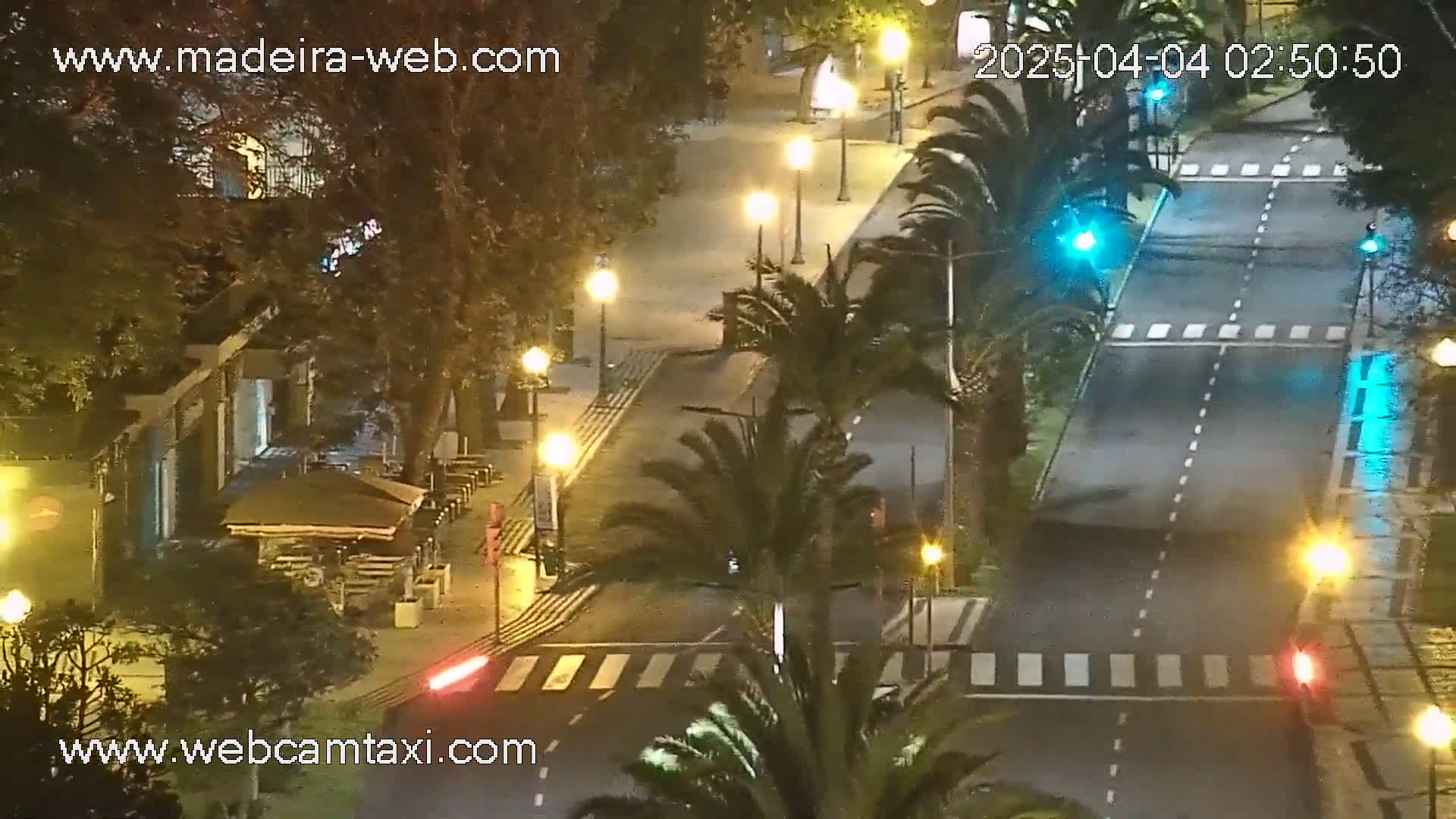 A nighttime street scene shows a mostly empty road with pedestrian crosswalks, lined with palm trees and streetlights.