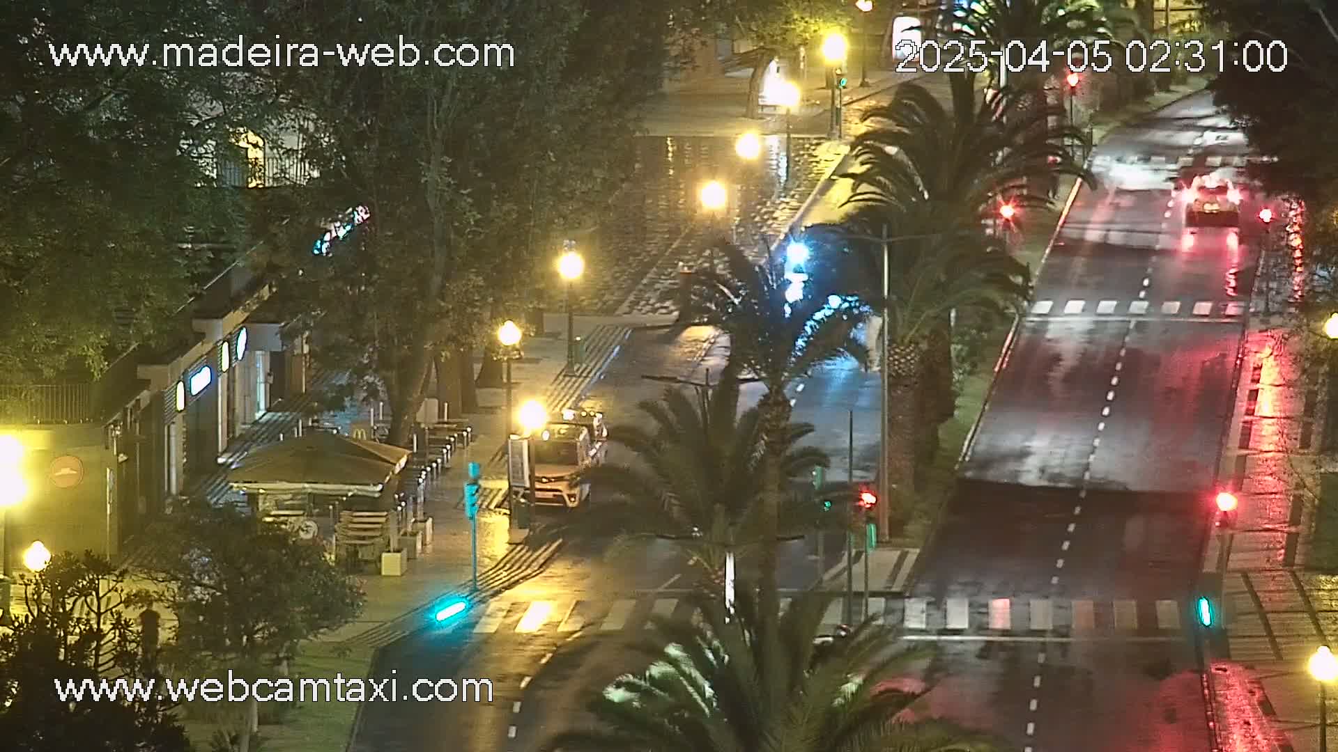A wet, nighttime street scene shows a roadway with sparse traffic, lined with palm trees and buildings with outdoor seating.