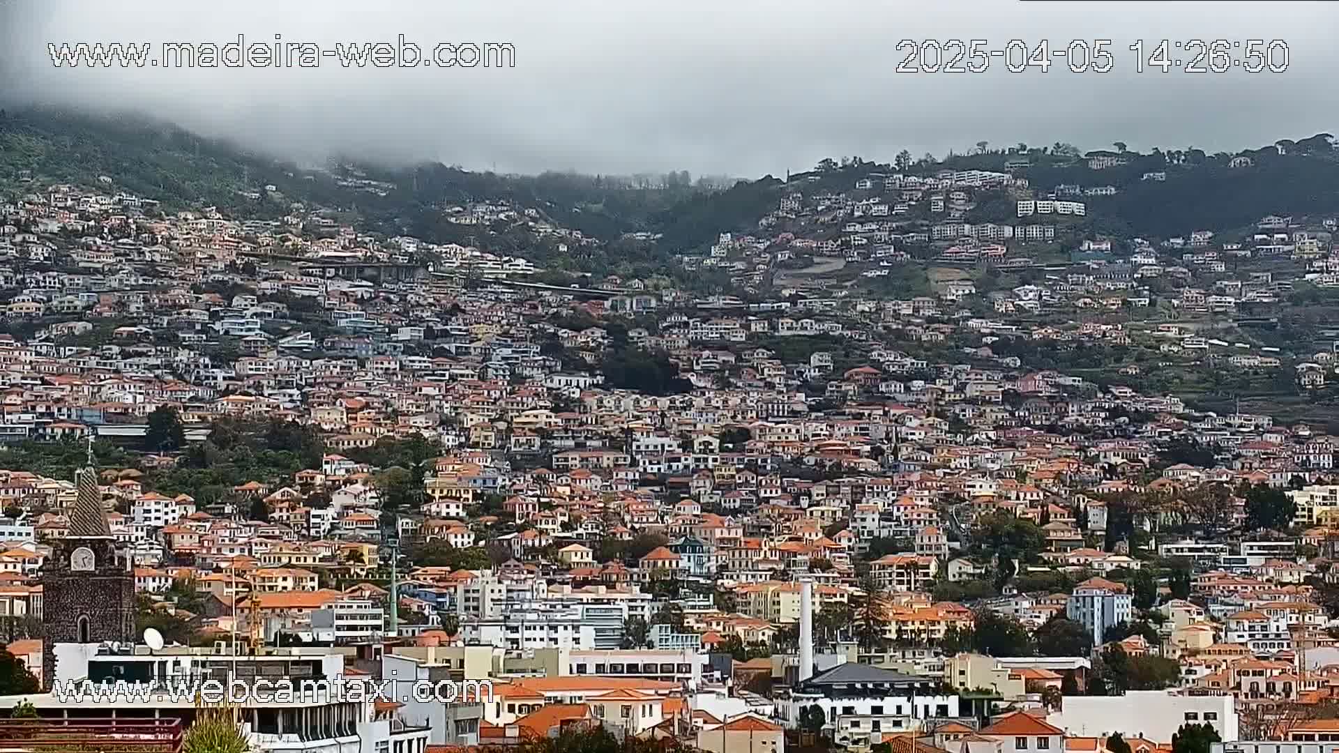 A densely packed hillside town is shrouded in a misty, overcast sky.