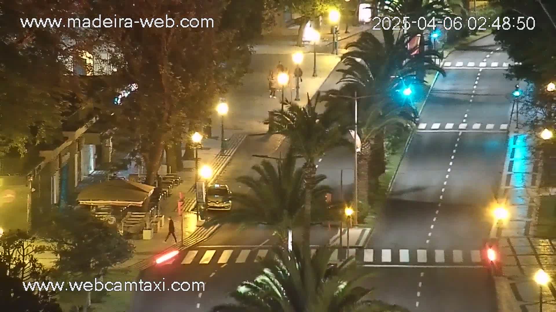 A nighttime street scene shows a road with crosswalks, palm trees, streetlights, and a few pedestrians; the weather appears clear.