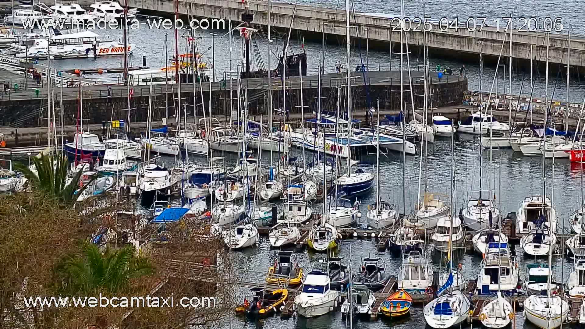 A harbor filled with numerous sailboats and motorboats on a cloudy day.