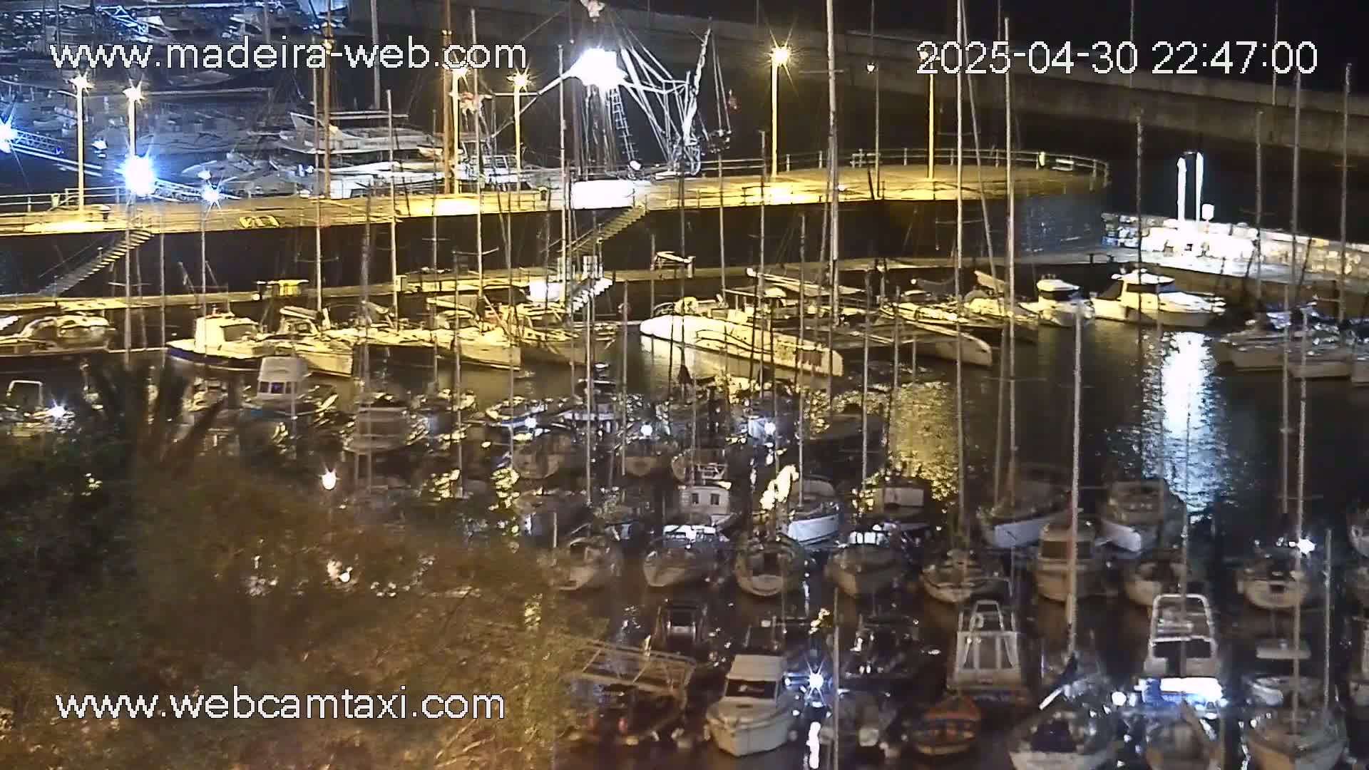 Many sailboats are docked at a marina at night.