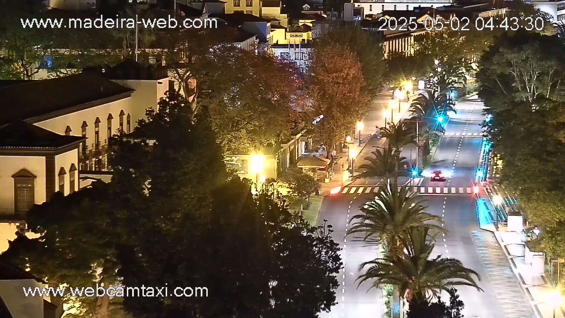 A nighttime, high-angle view of a city street at night, lined with palm trees and buildings, with a few vehicles visible on the road.