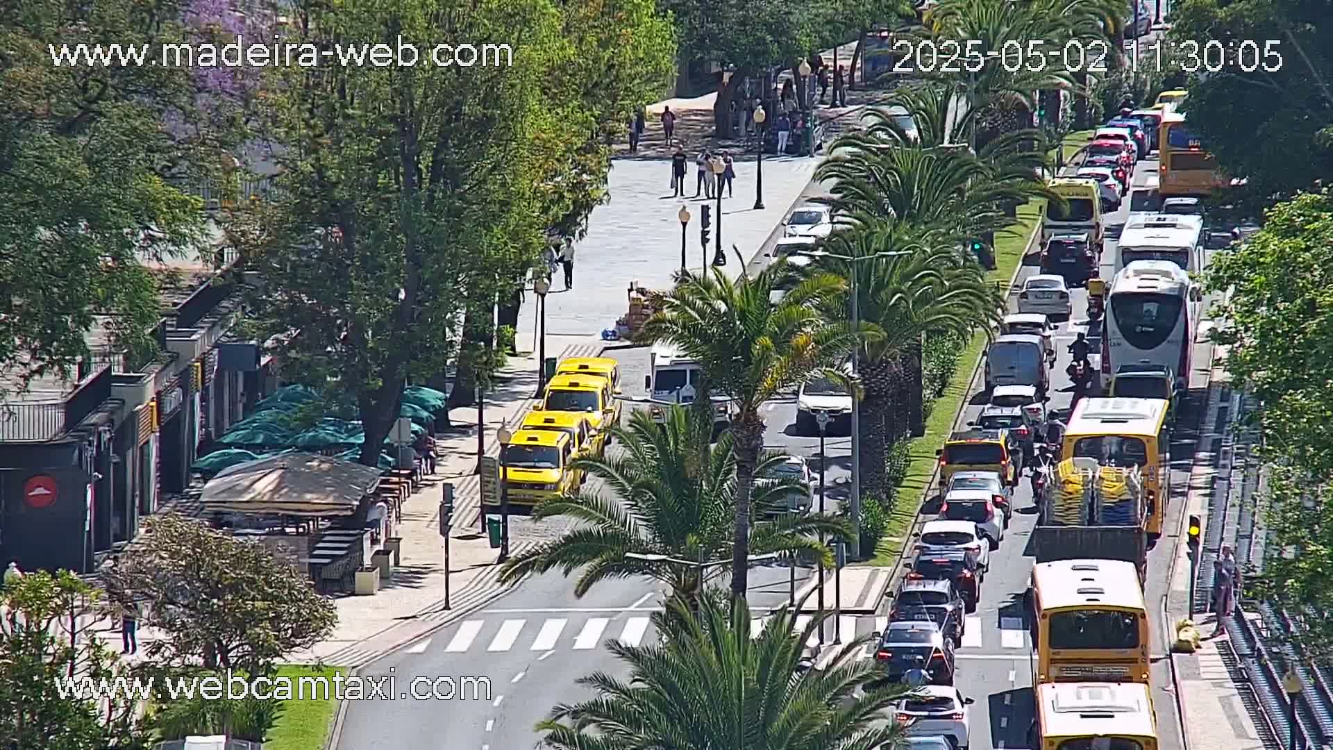 A sunny day reveals a congested street scene with numerous cars, buses, and yellow taxis, lined with palm trees and outdoor cafes.