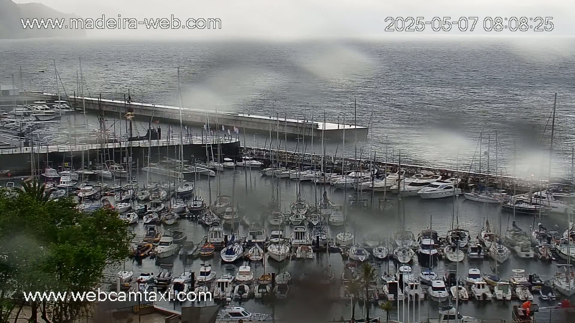 A marina filled with numerous boats is seen on an overcast day, with a hazy atmosphere over the water.