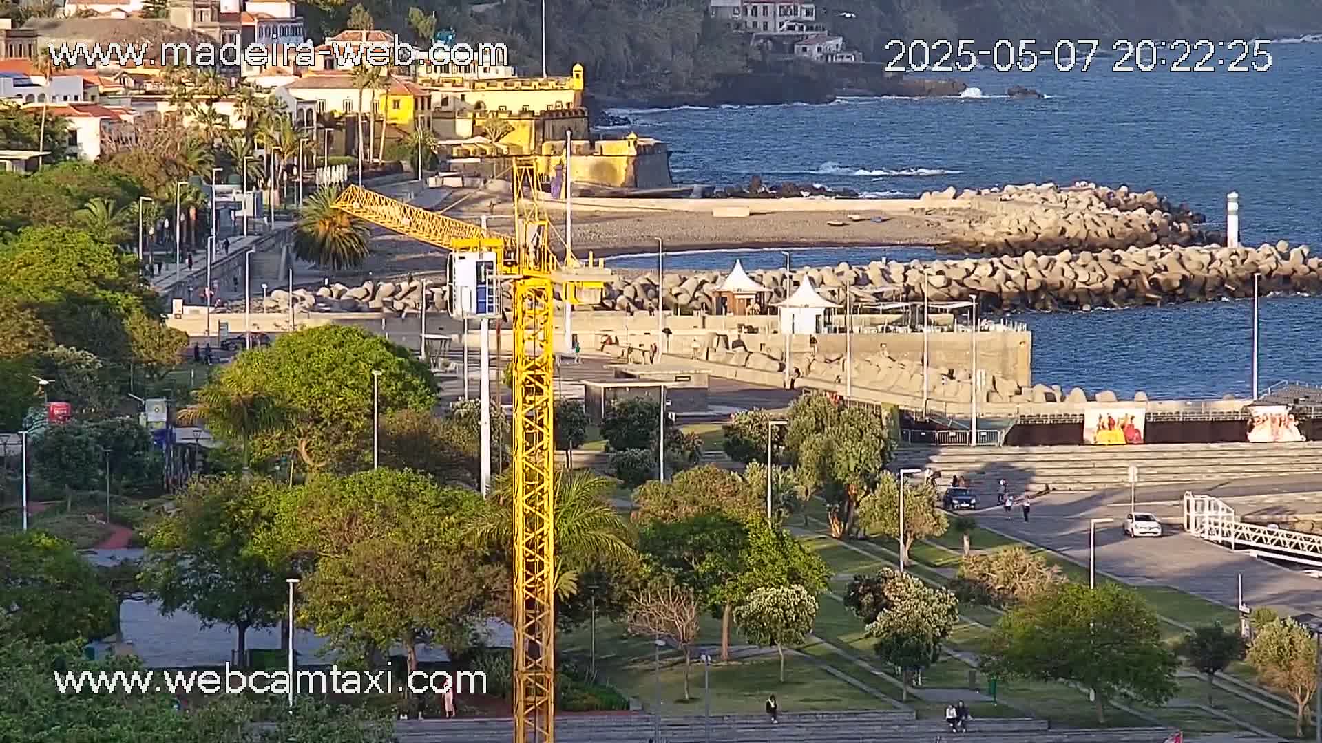 A yellow crane stands near a coastal park with lush greenery, overlooking a rocky shoreline and calm ocean under a sunny sky.