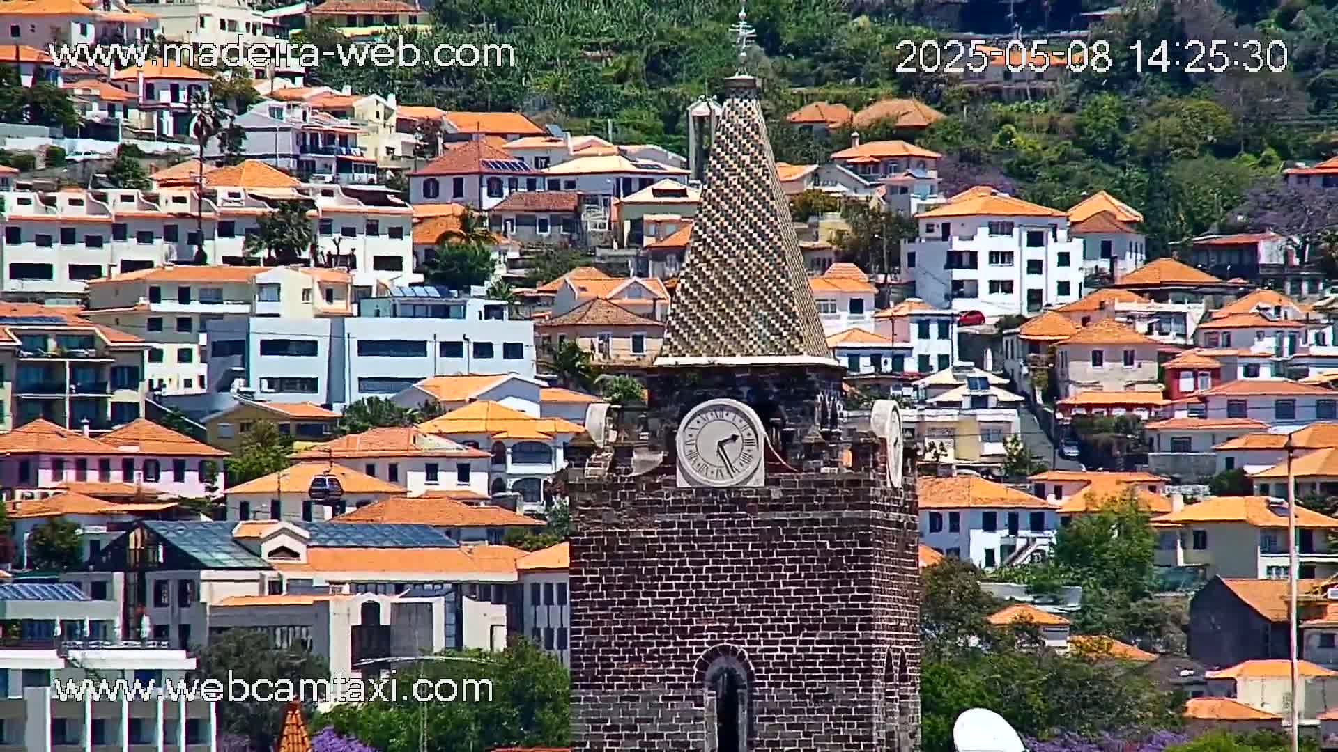 A brick clock tower with a tiled spire stands prominently amidst a hillside of densely packed, terracotta-roofed buildings on a sunny day.